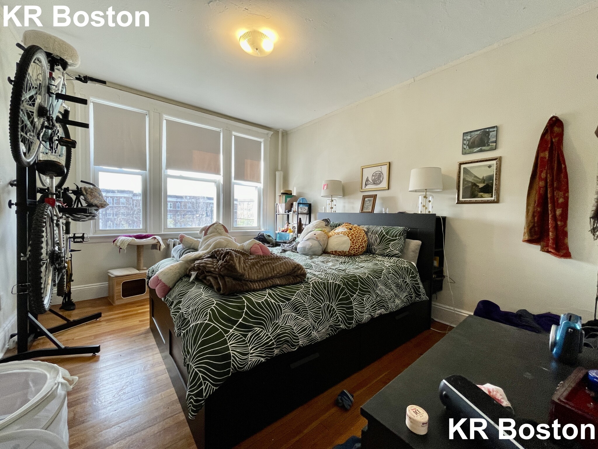 1638 Commonwealth Ave, Brighton