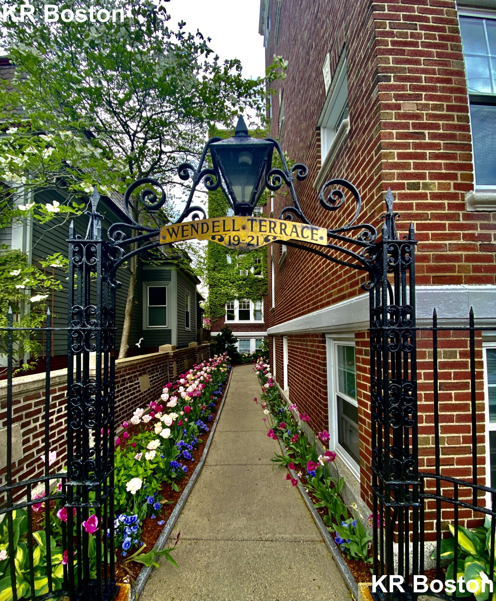 21 Wendell St, Harvard Square