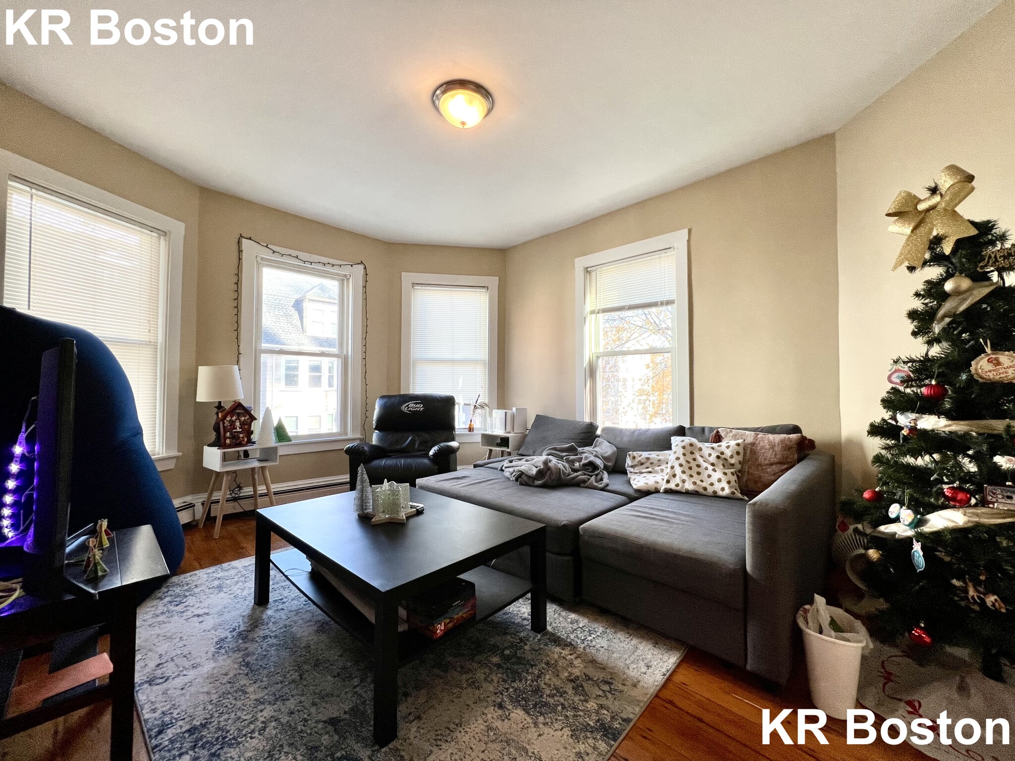 44 Hillside St, Mission Hill