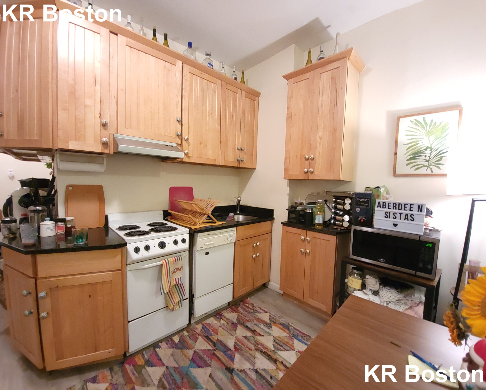 19 Aberdeen St, Fenway