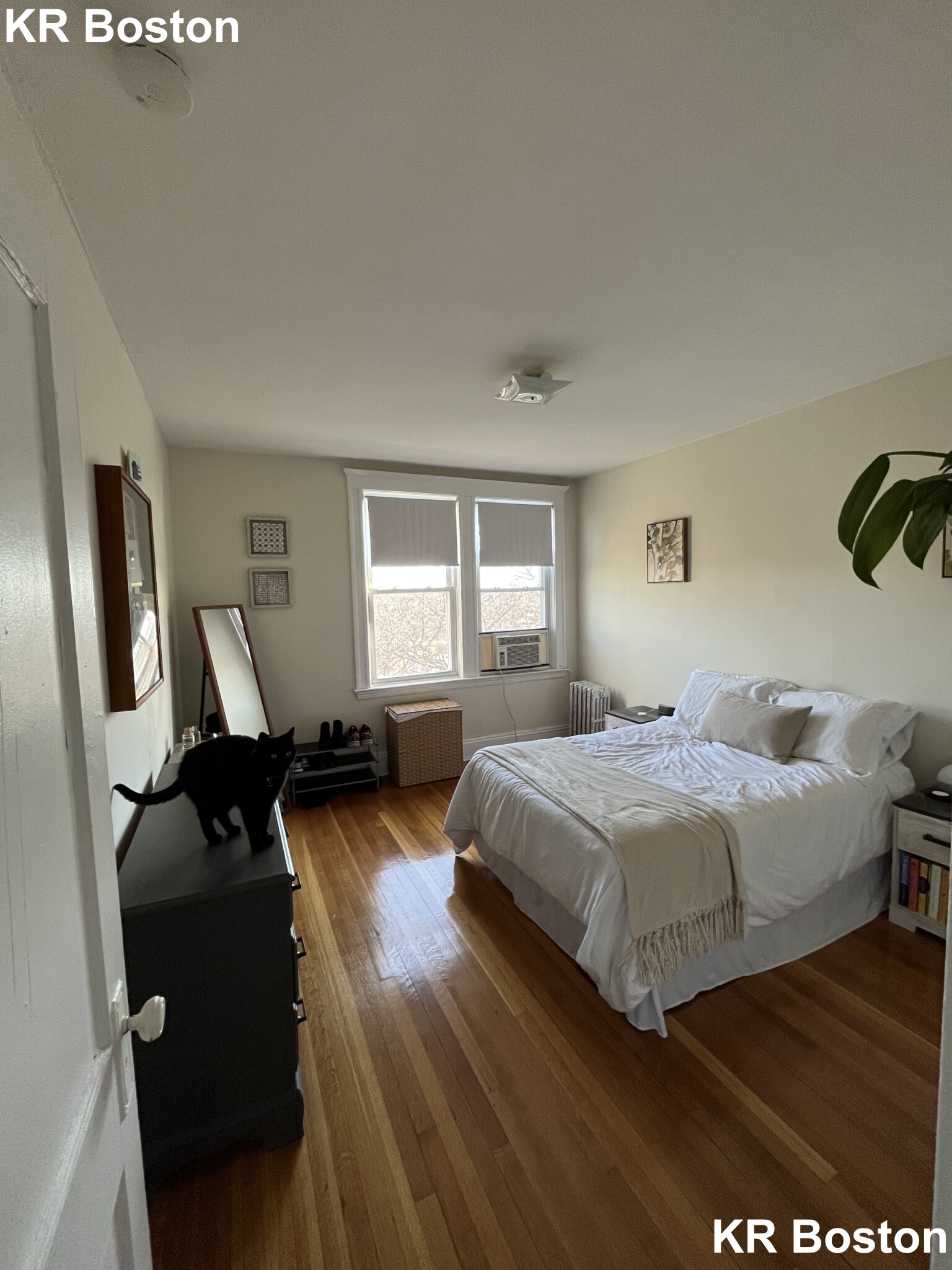 1638 Commonwealth Ave, Brighton