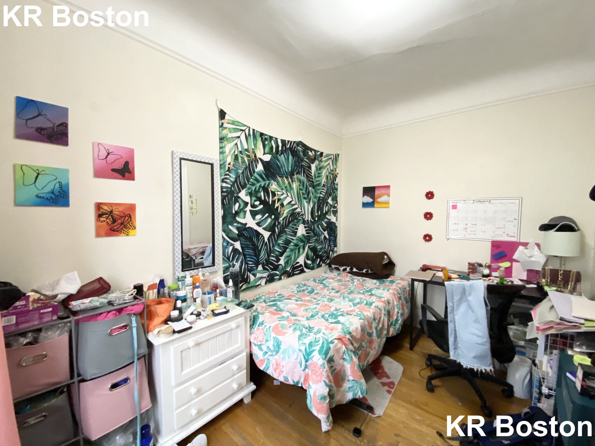 48 Babcock St, Coolidge Corner