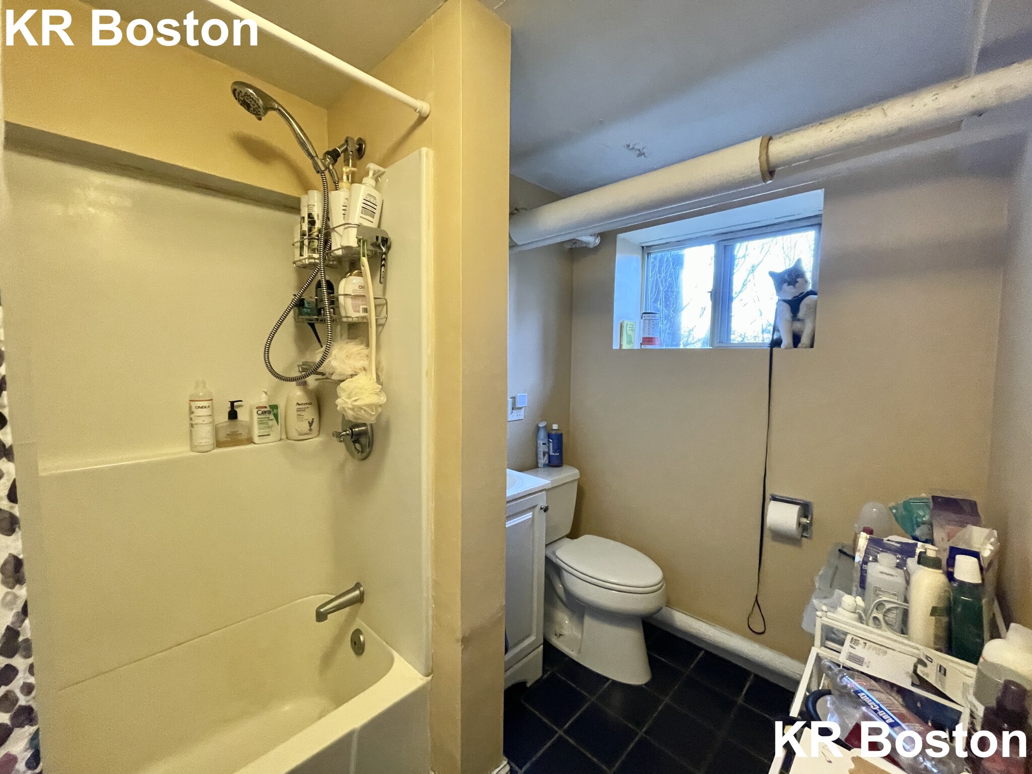 79 Pleasant St, Coolidge Corner