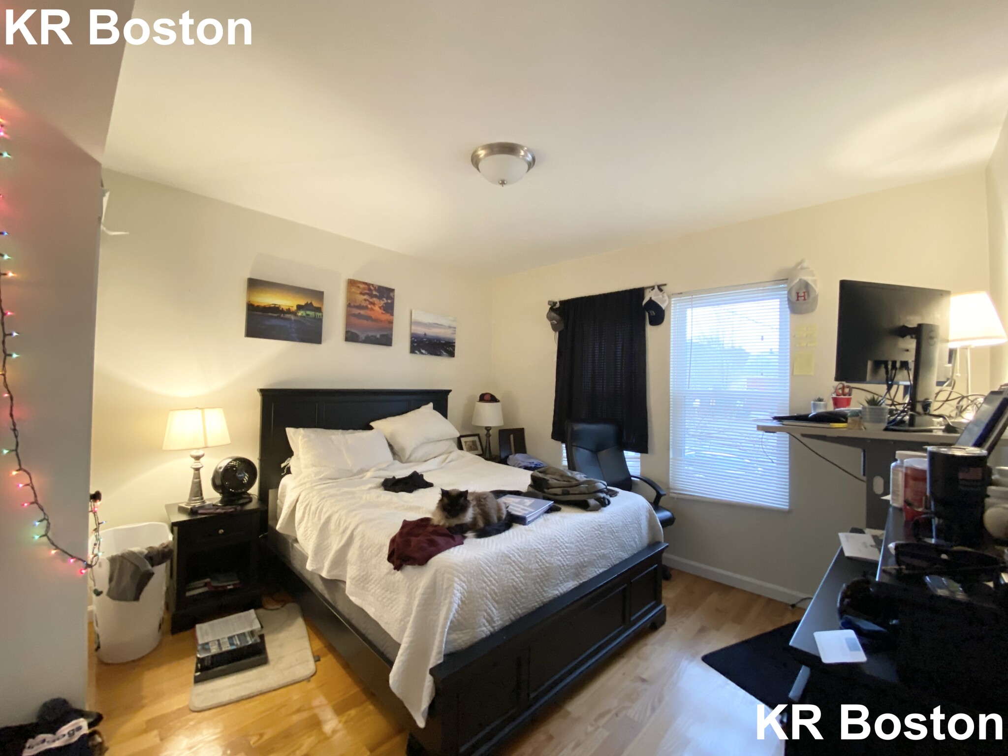 21 Weitz St, Allston