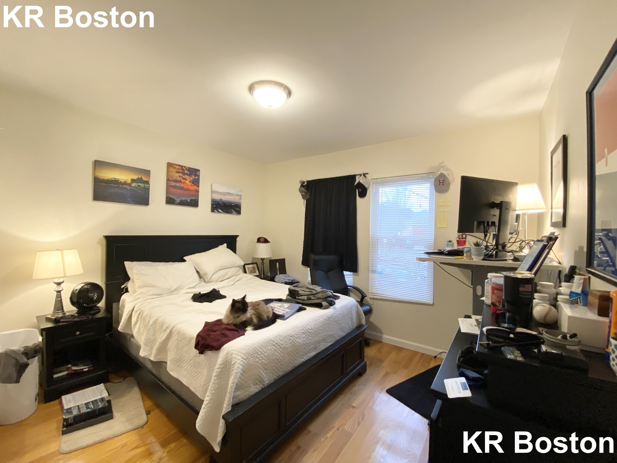 23 Weitz St, Allston