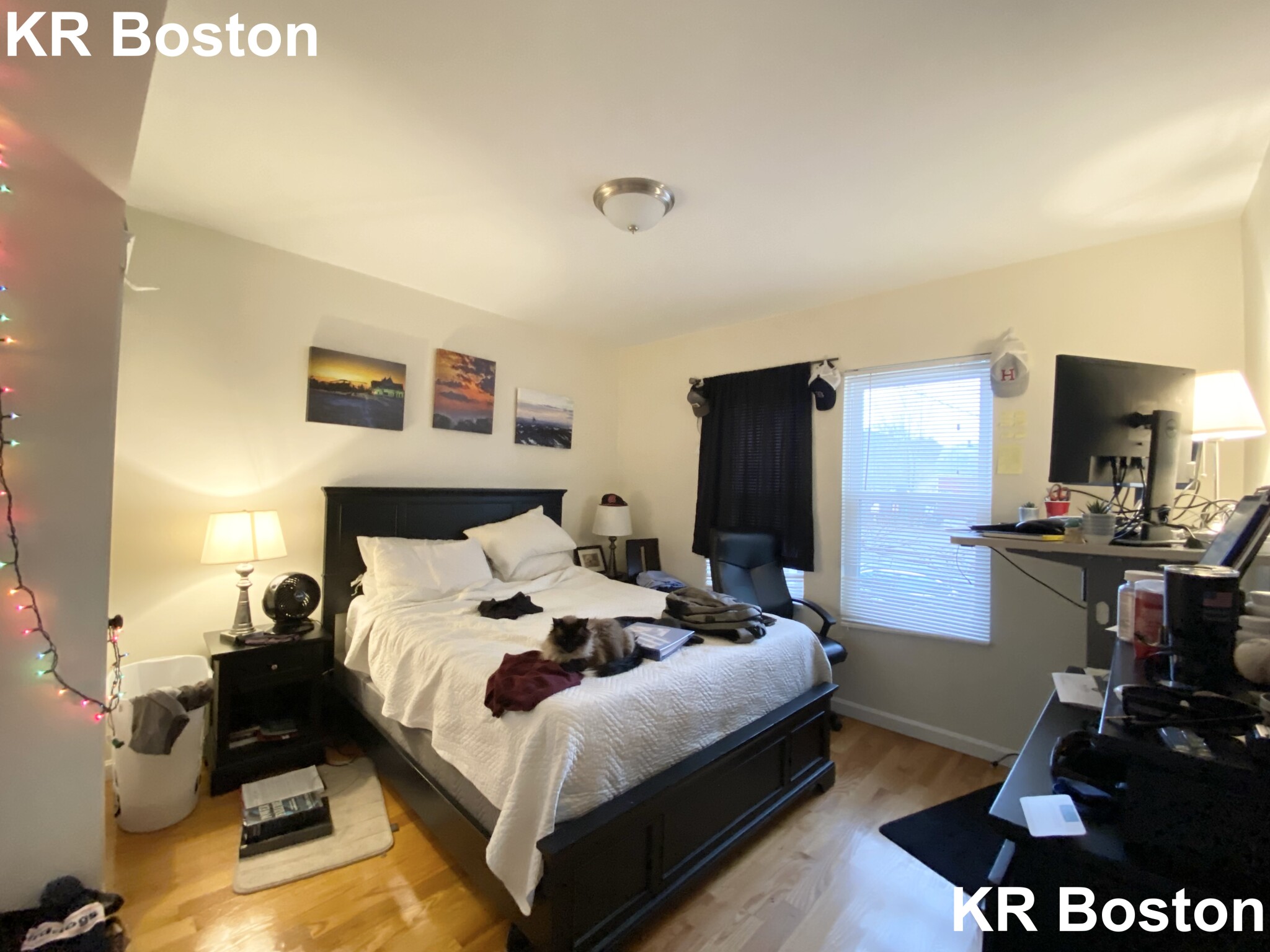 21 Weitz St, Allston