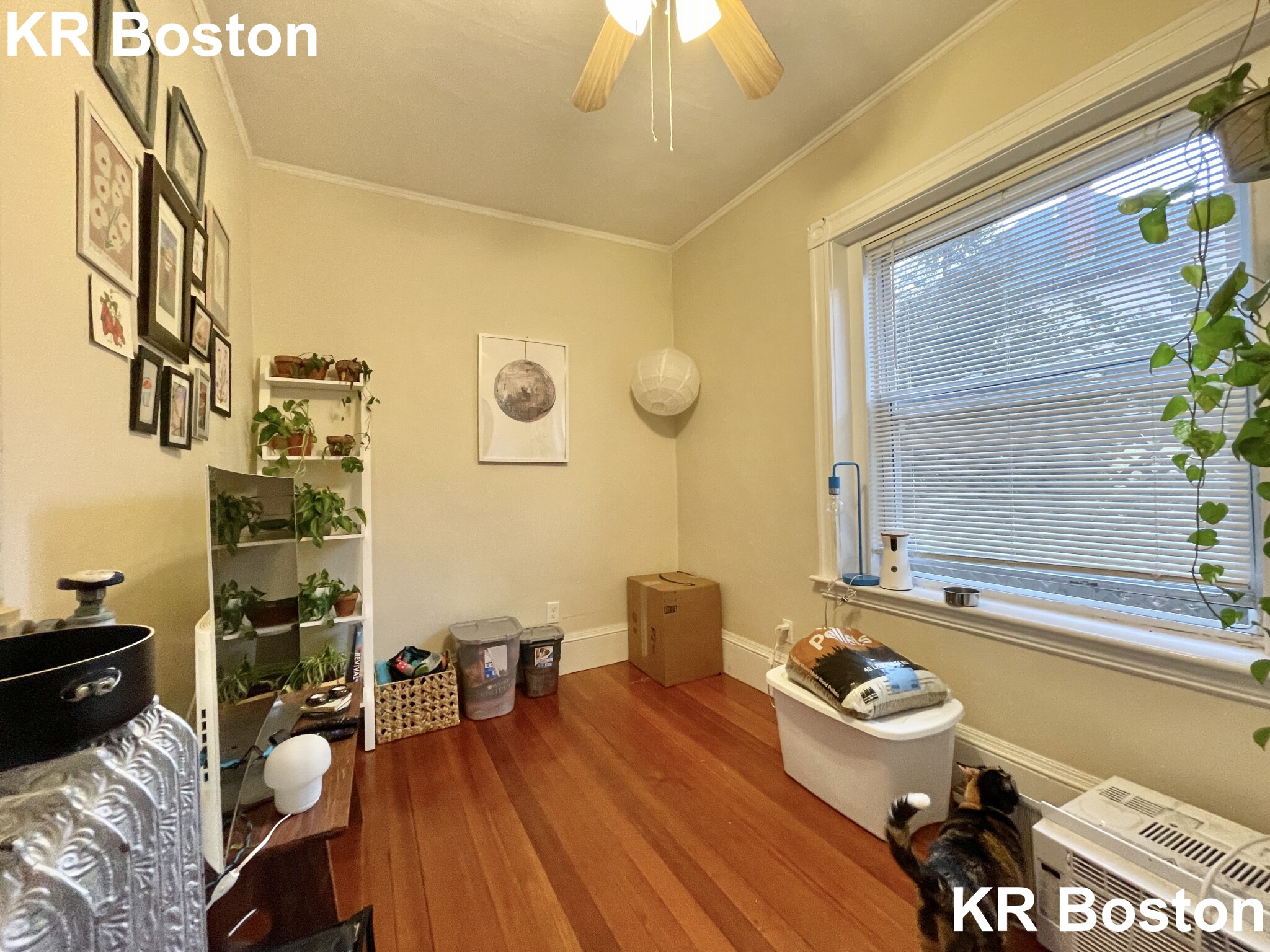 36 High St, Brookline Village