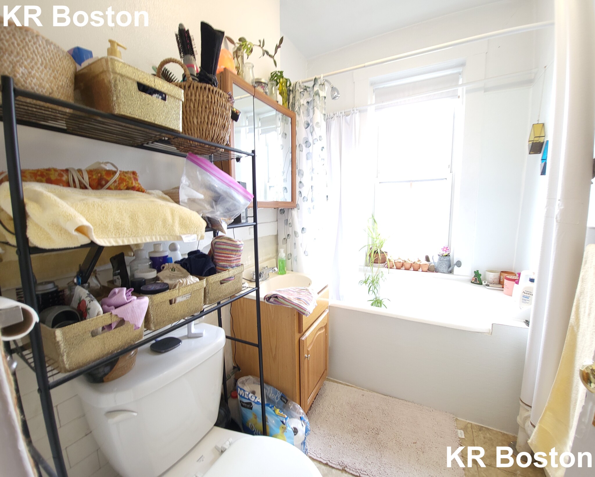 1179 Boylston St, Fenway