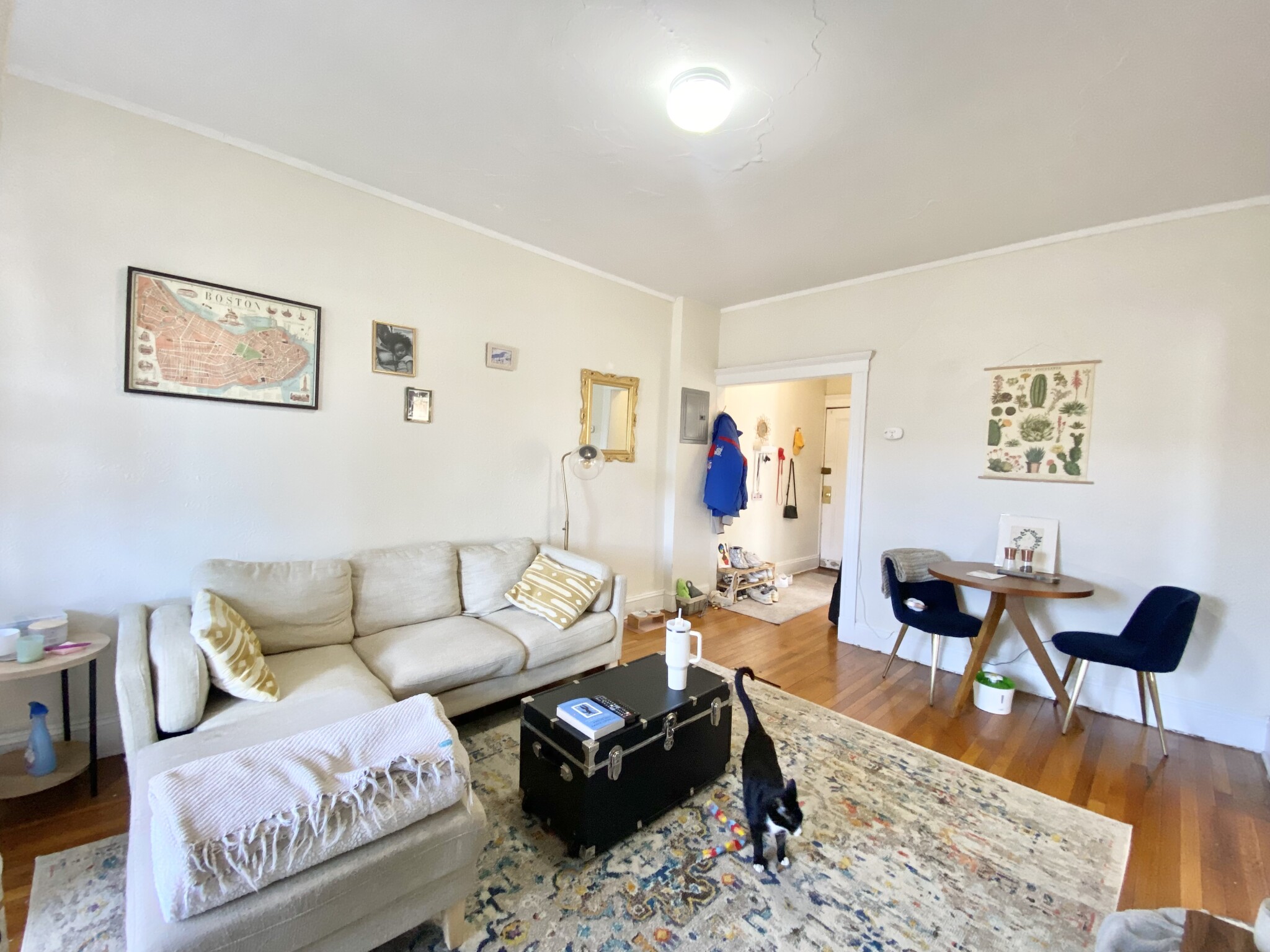 1638 Commonwealth Ave, Brighton