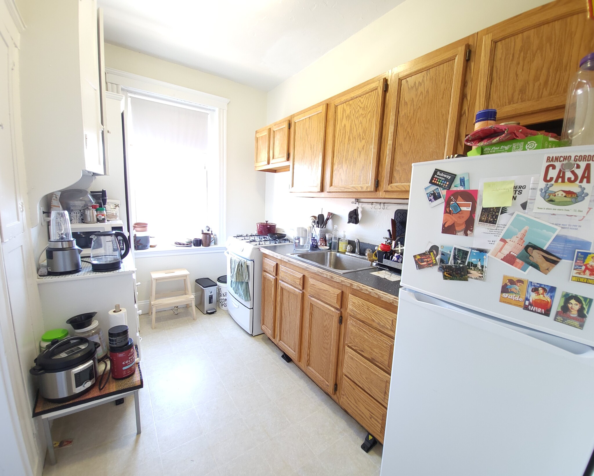 66 Chiswick Rd, Brighton