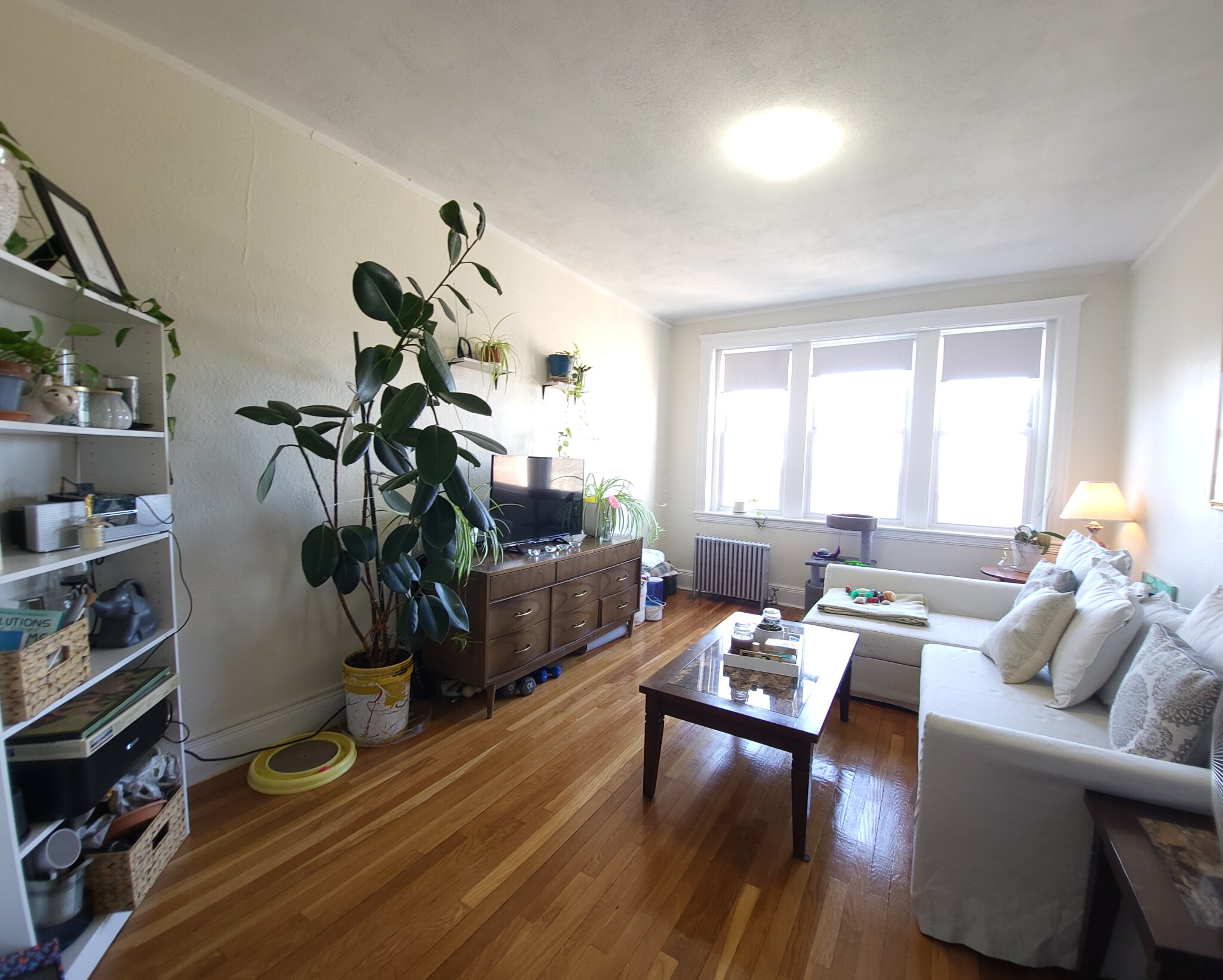 1810 Commonwealth Ave, Brighton