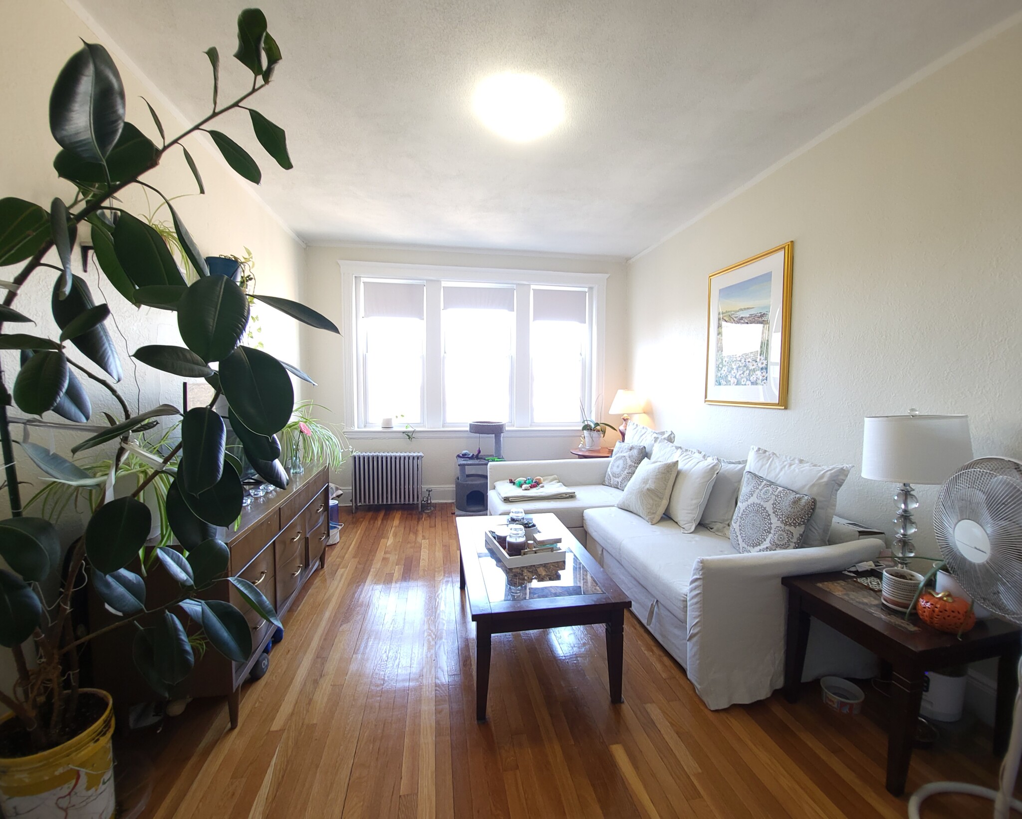 1810 Commonwealth Ave, Brighton