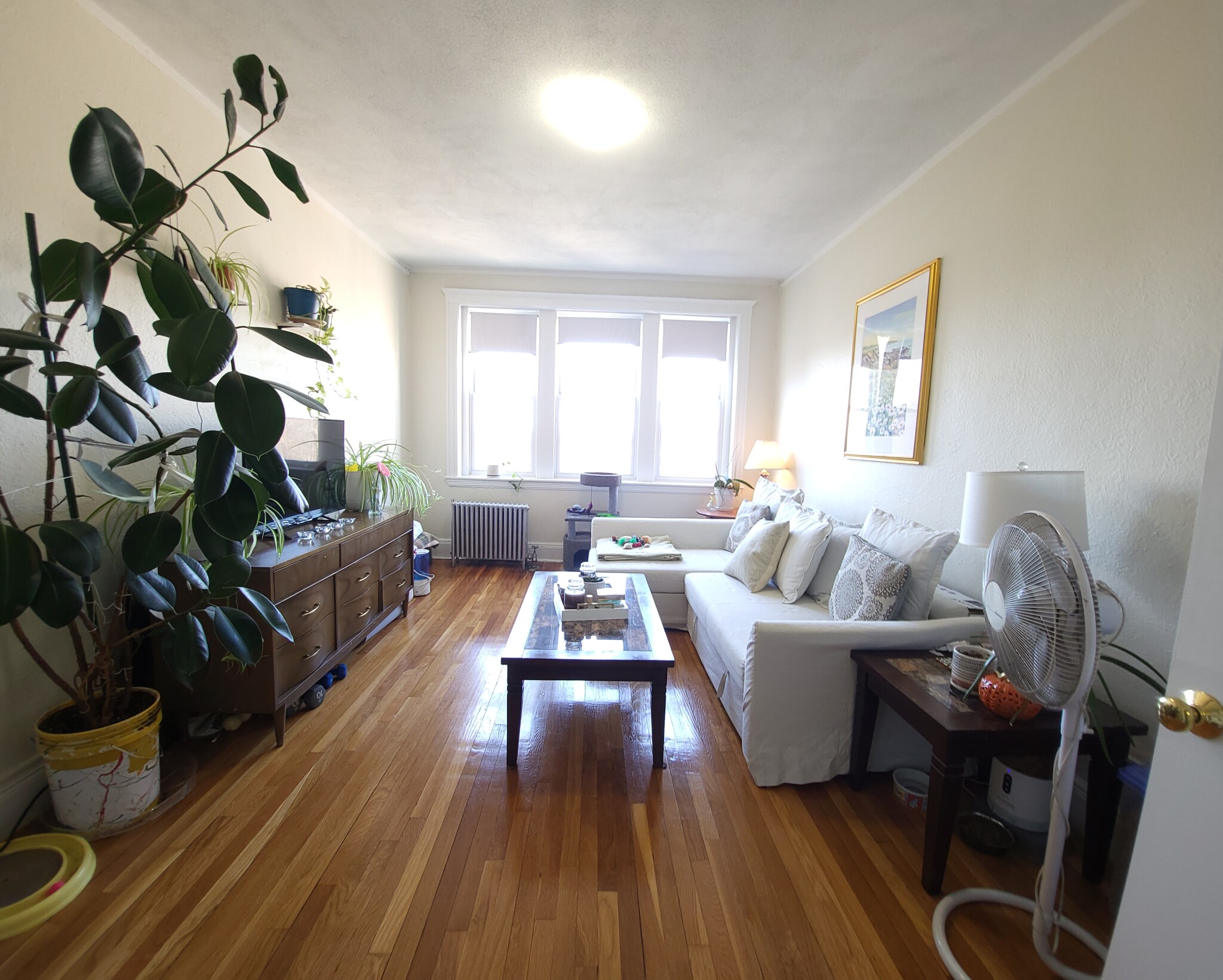 1810 Commonwealth Ave, Brighton