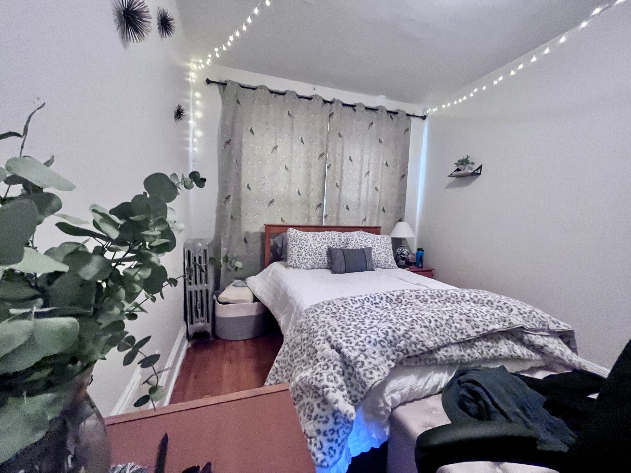 127 Sutherland Rd, Brighton