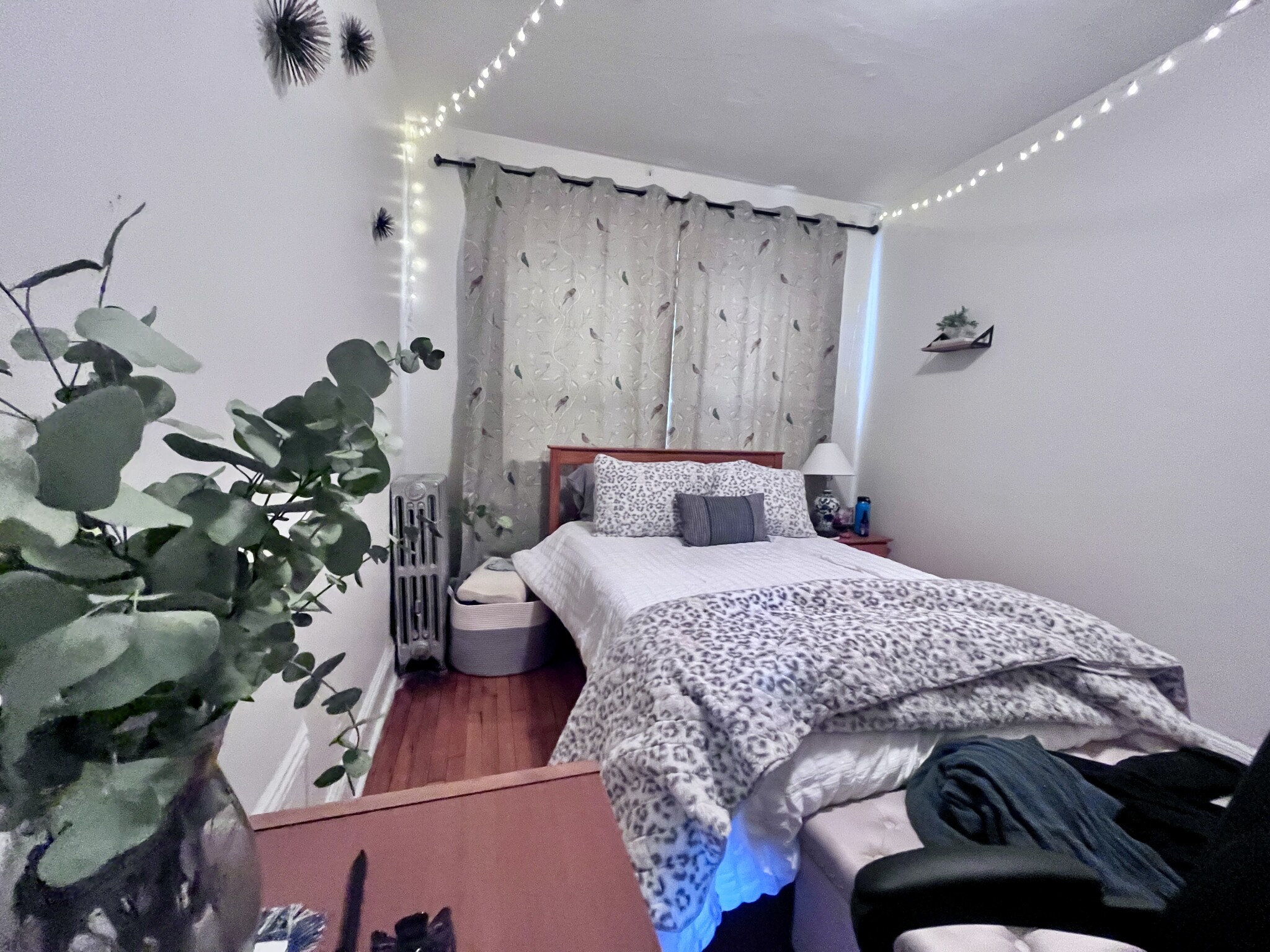 127 Sutherland Rd, Allston