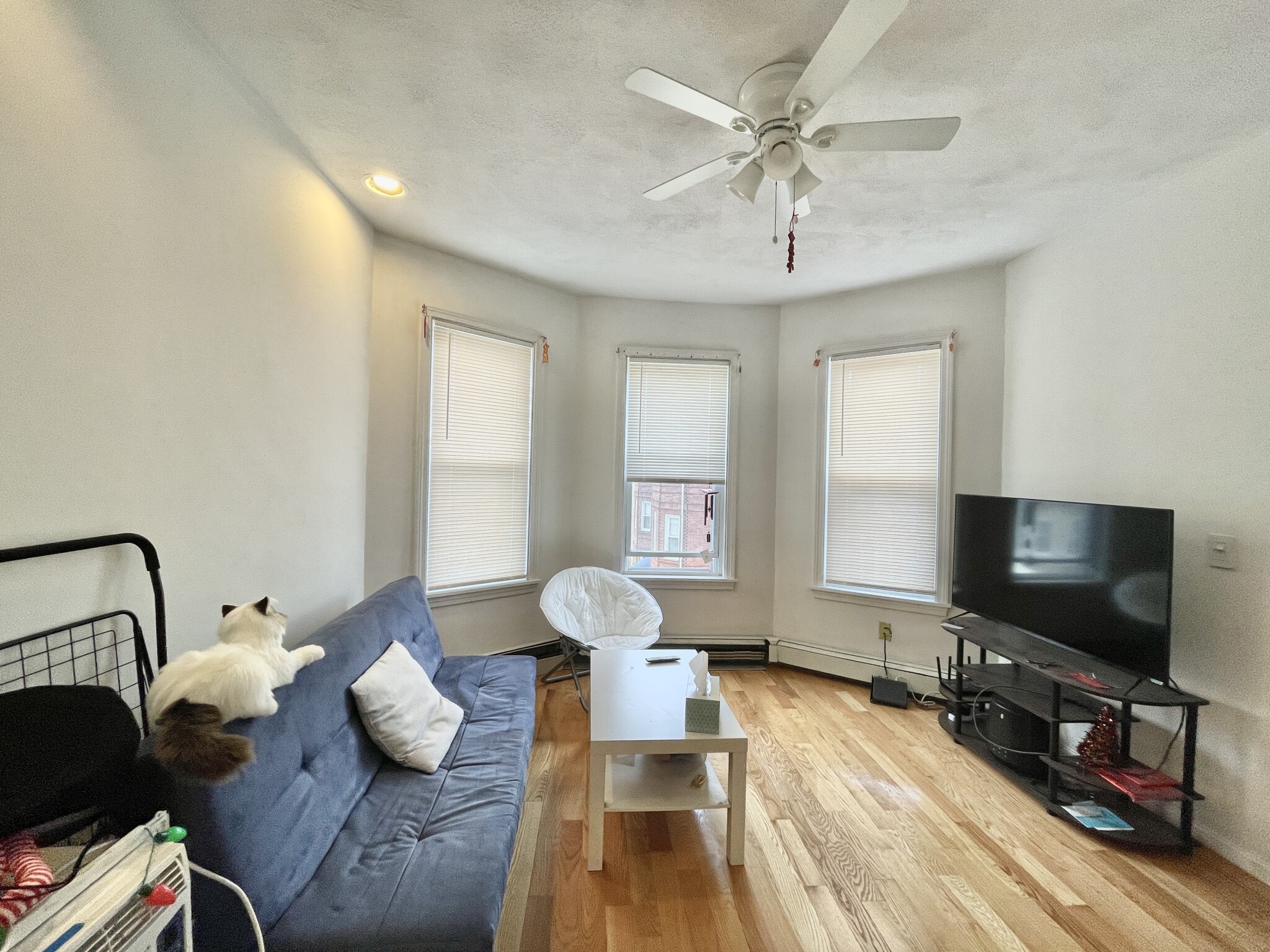 58 Mansfield St, Allston