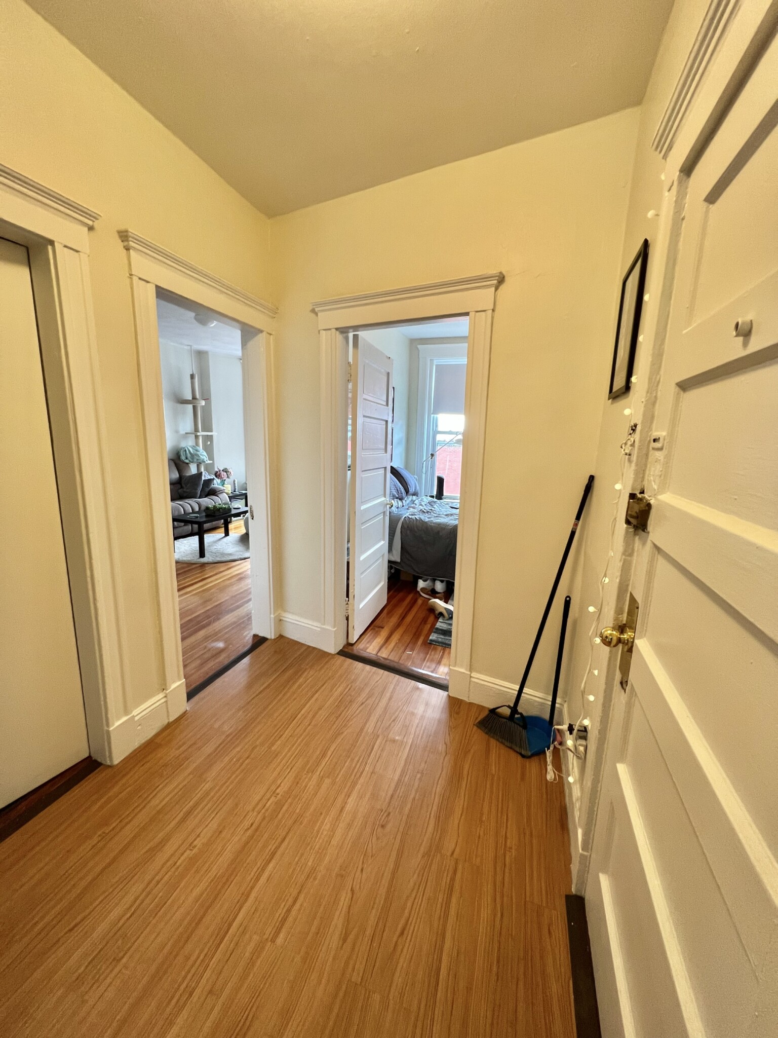 11 Mount Hood Rd, Brighton