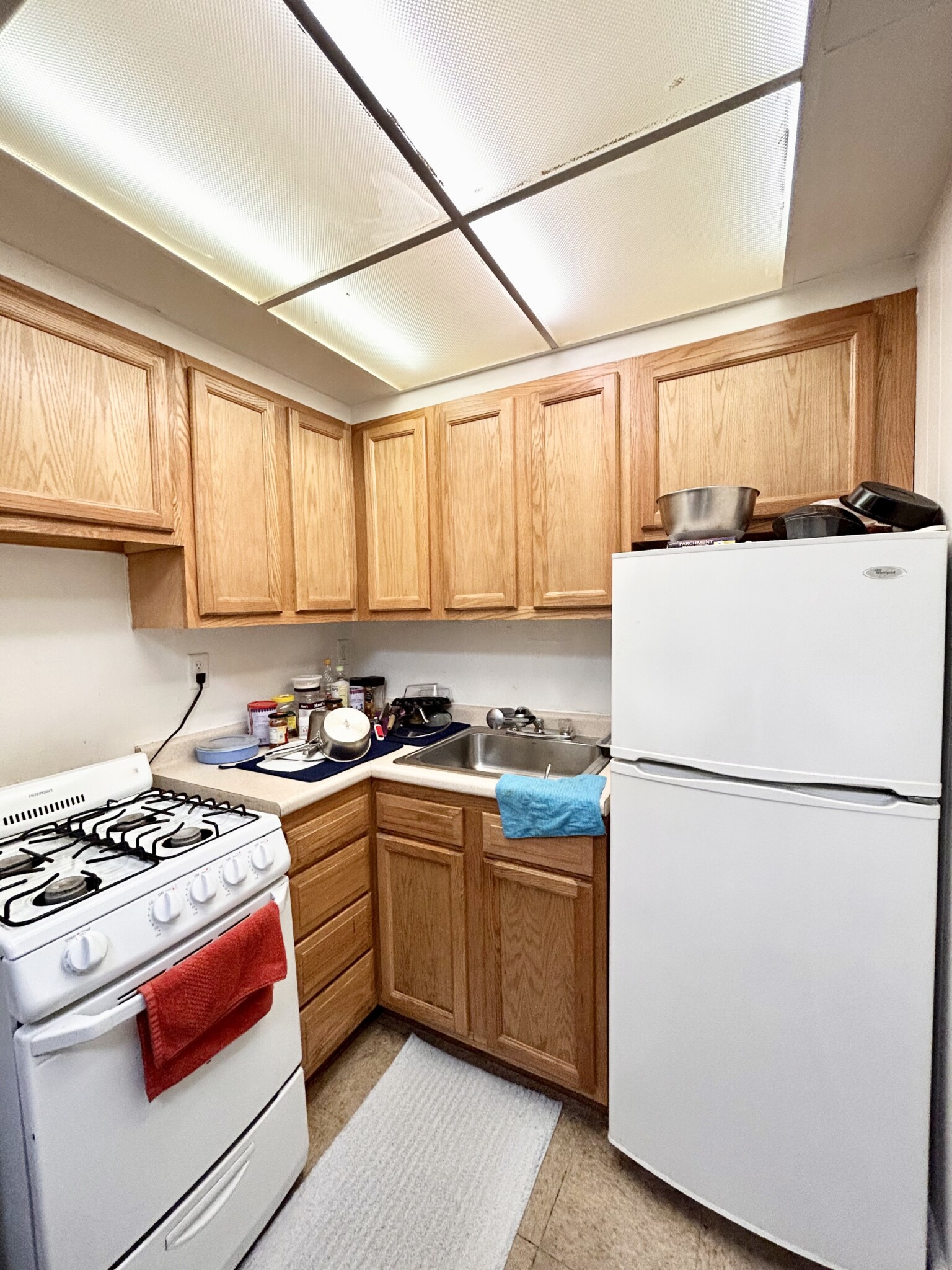 66 Chiswick Rd, Brighton