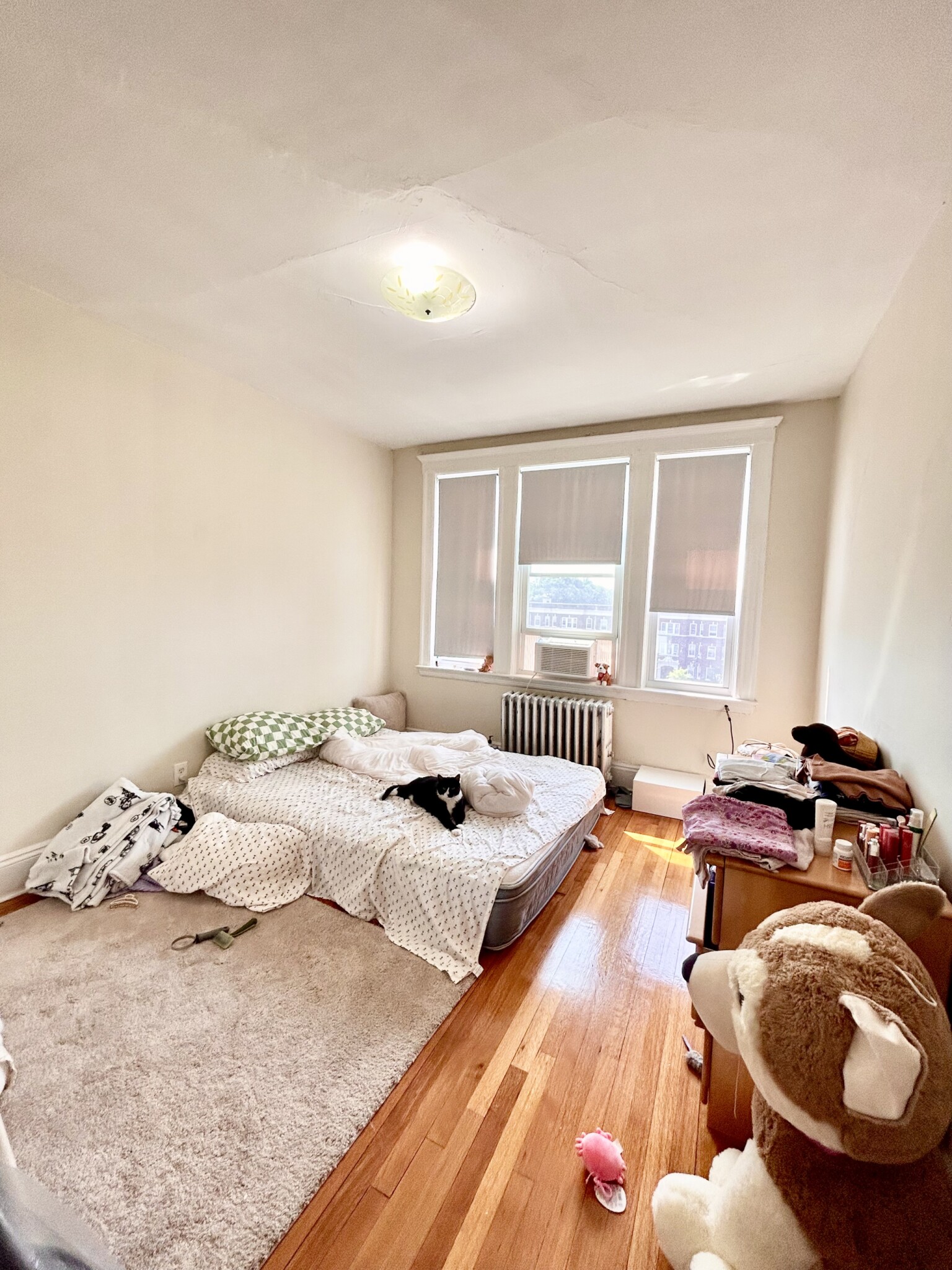 1638 Commonwealth Ave, Brighton