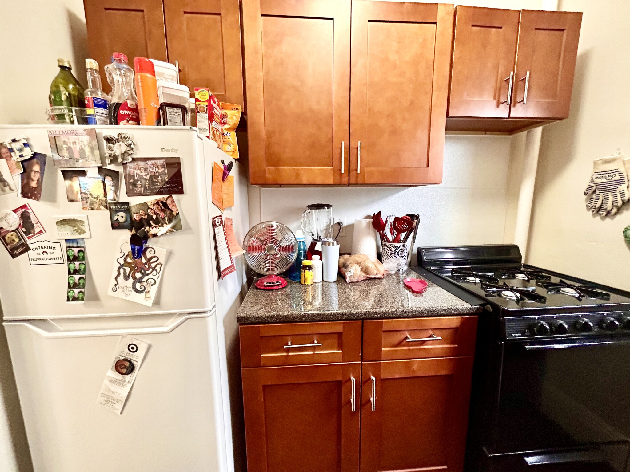 1191 Boylston St, Fenway