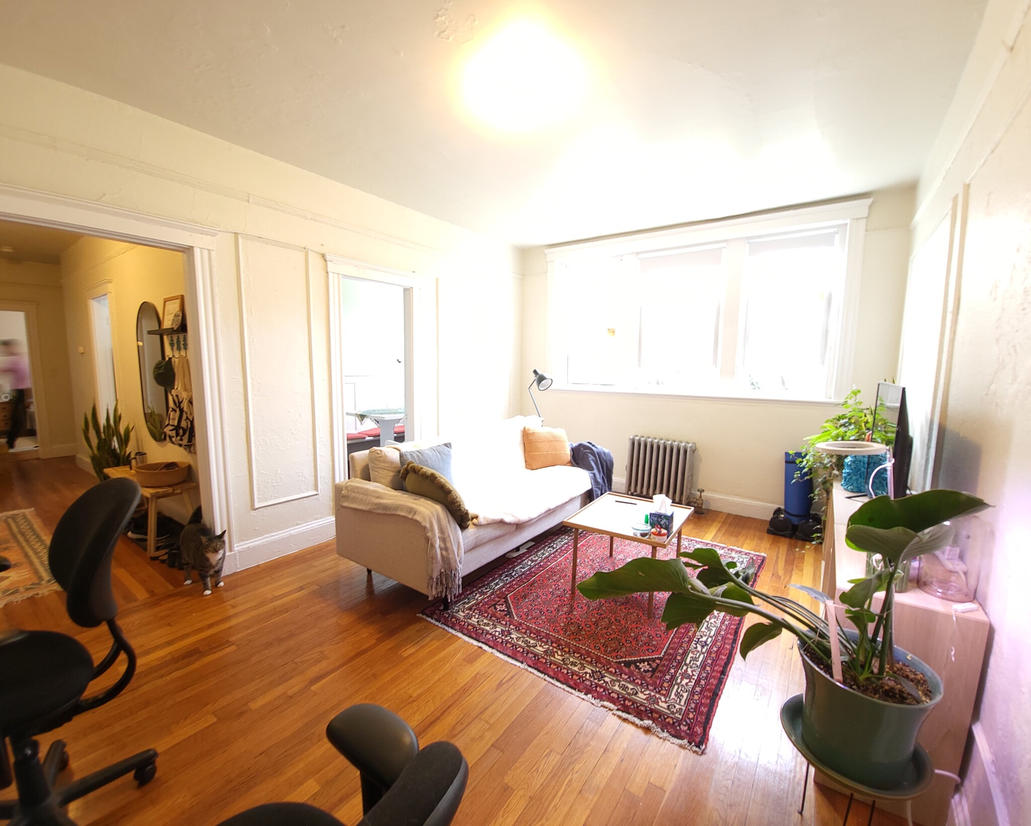 70 Chiswick Rd, Brighton