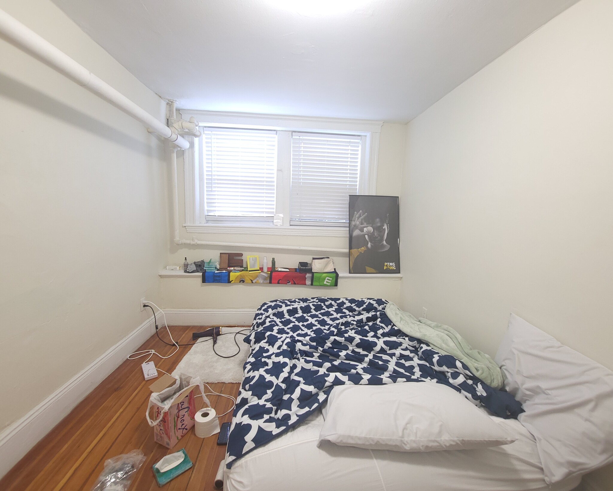 7 Mount Hood Rd, Brighton