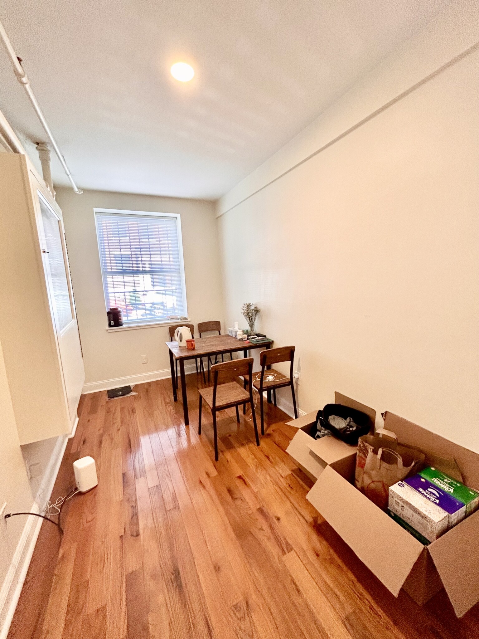 123 Sutherland Rd, Brighton