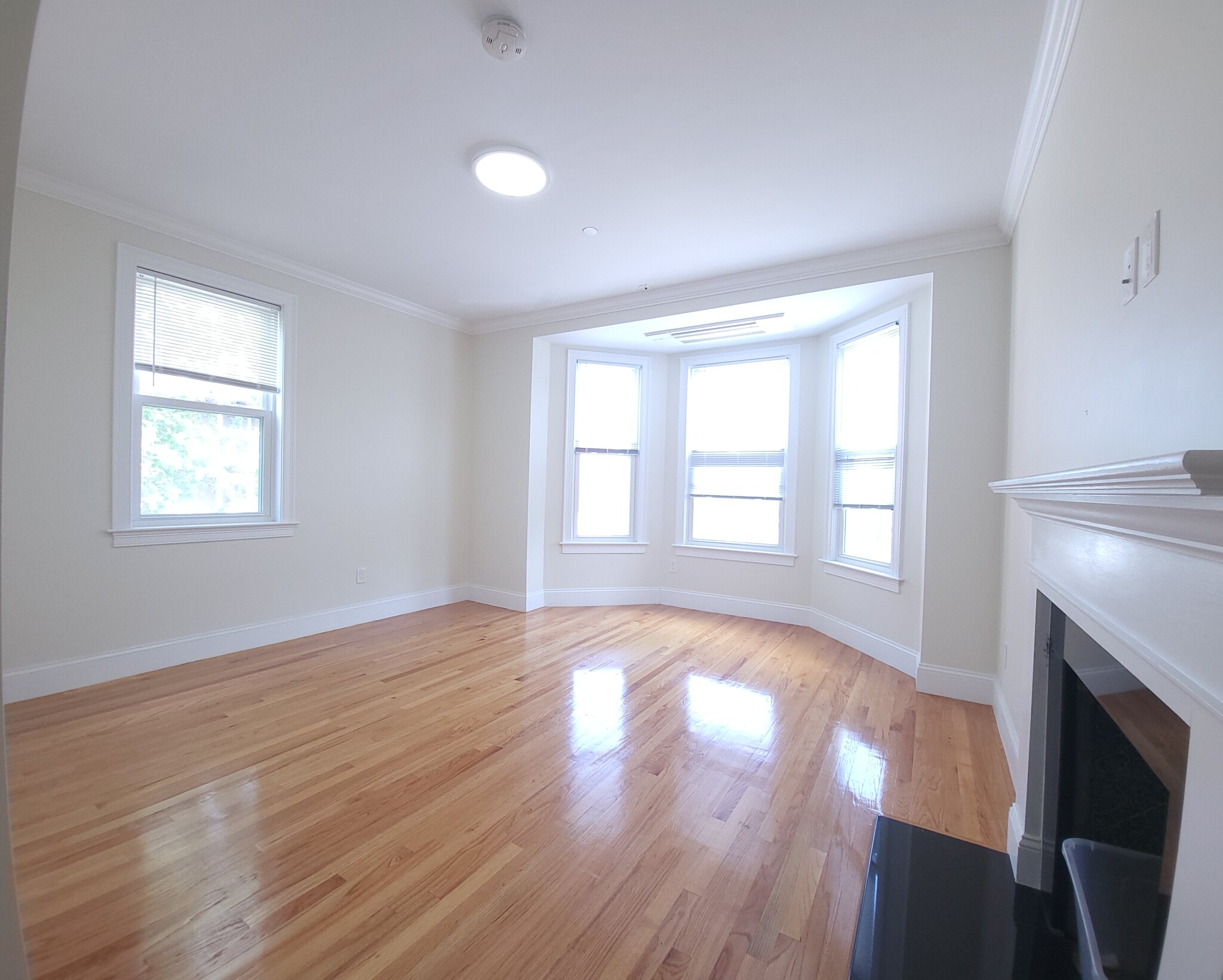 12 Harris St, Coolidge Corner