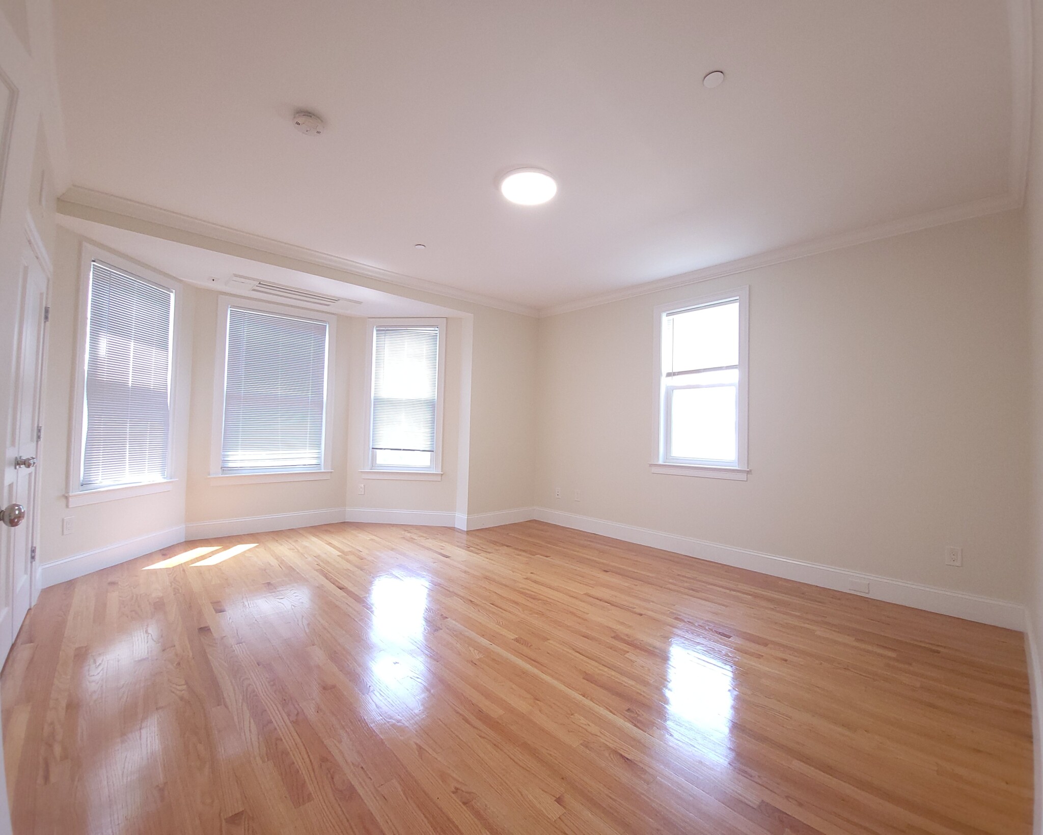 12 Harris St, Coolidge Corner