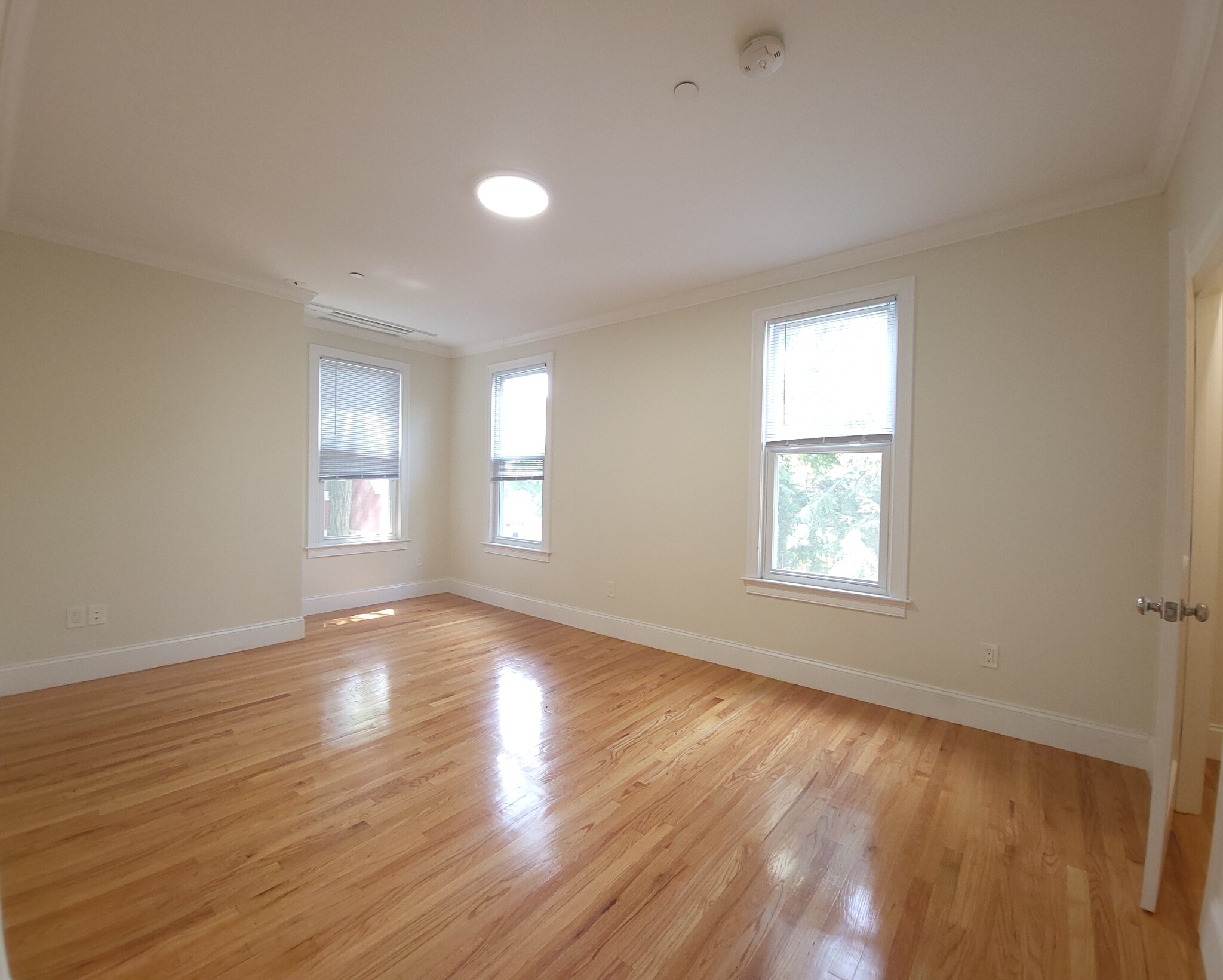 12 Harris St, Coolidge Corner