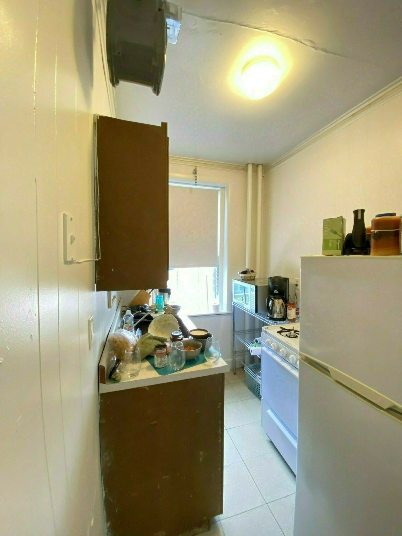 https://ygl-photos.s3.us-west-004.backblazeb2.com/10725O682f5ddb6b4ab.jpg