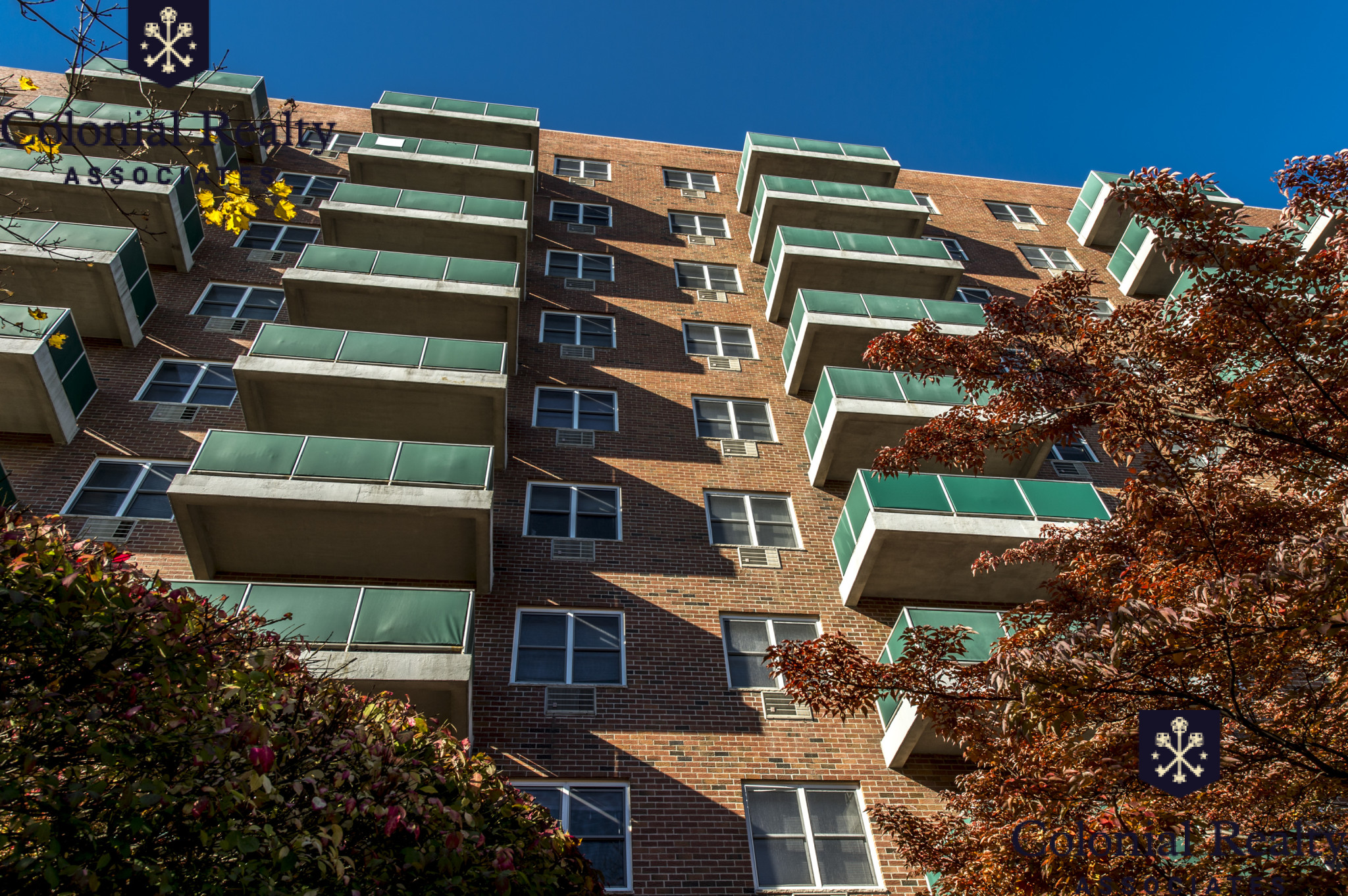 175 Freeman St, Coolidge Corner