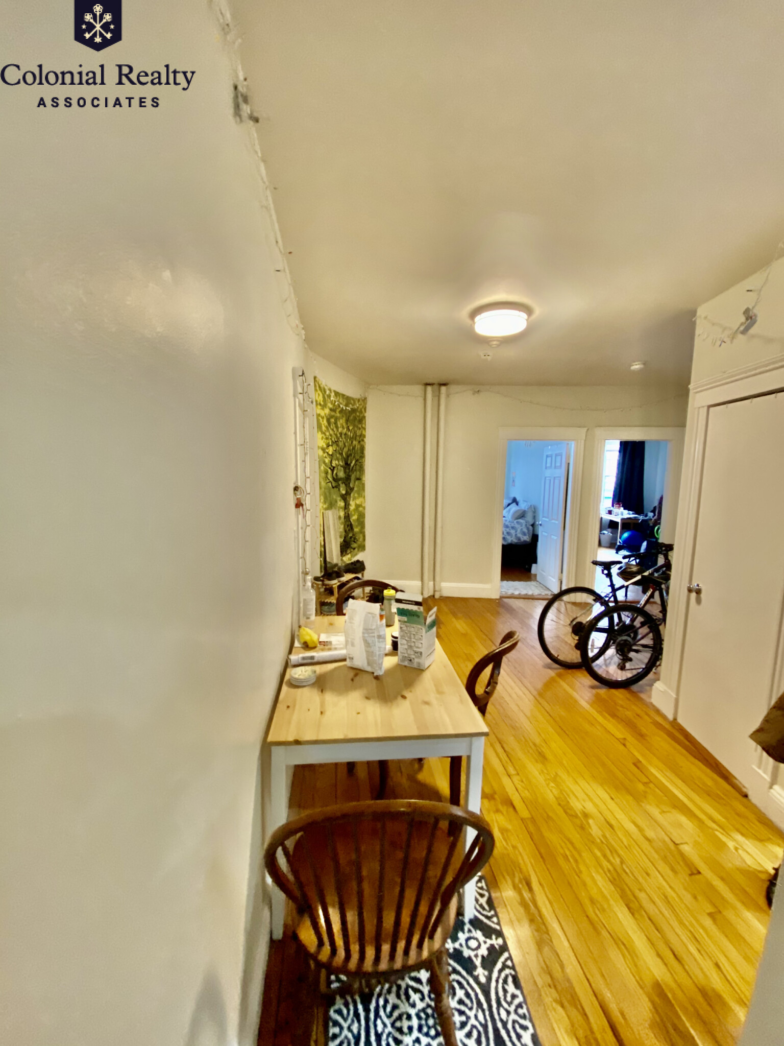 370 Chestnut Hill Ave, Brighton