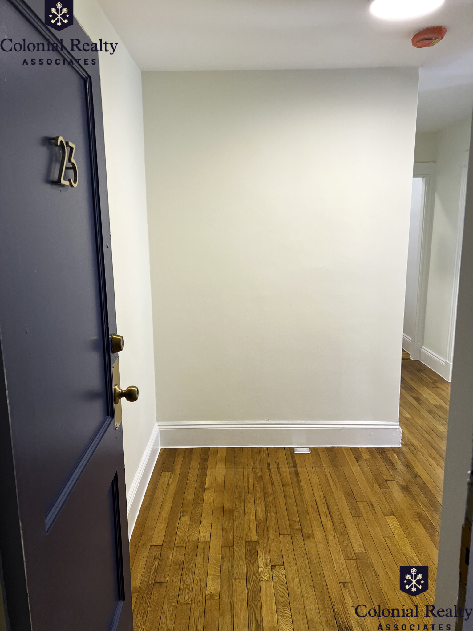 10 Orkney Rd, Brighton