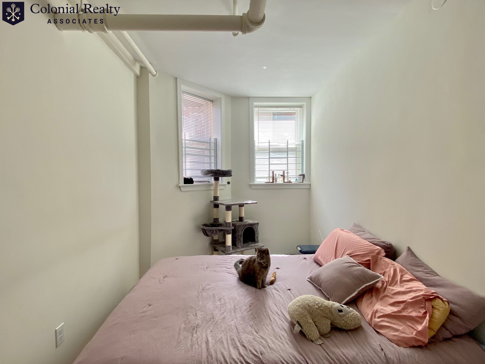 6 Orkney Rd, Brighton