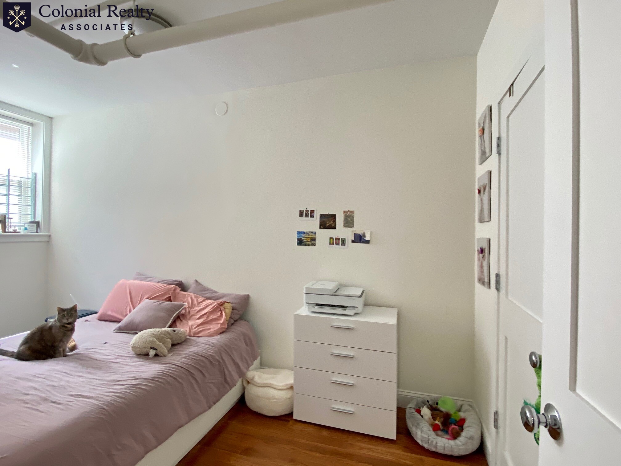 6 Orkney Rd, Brighton