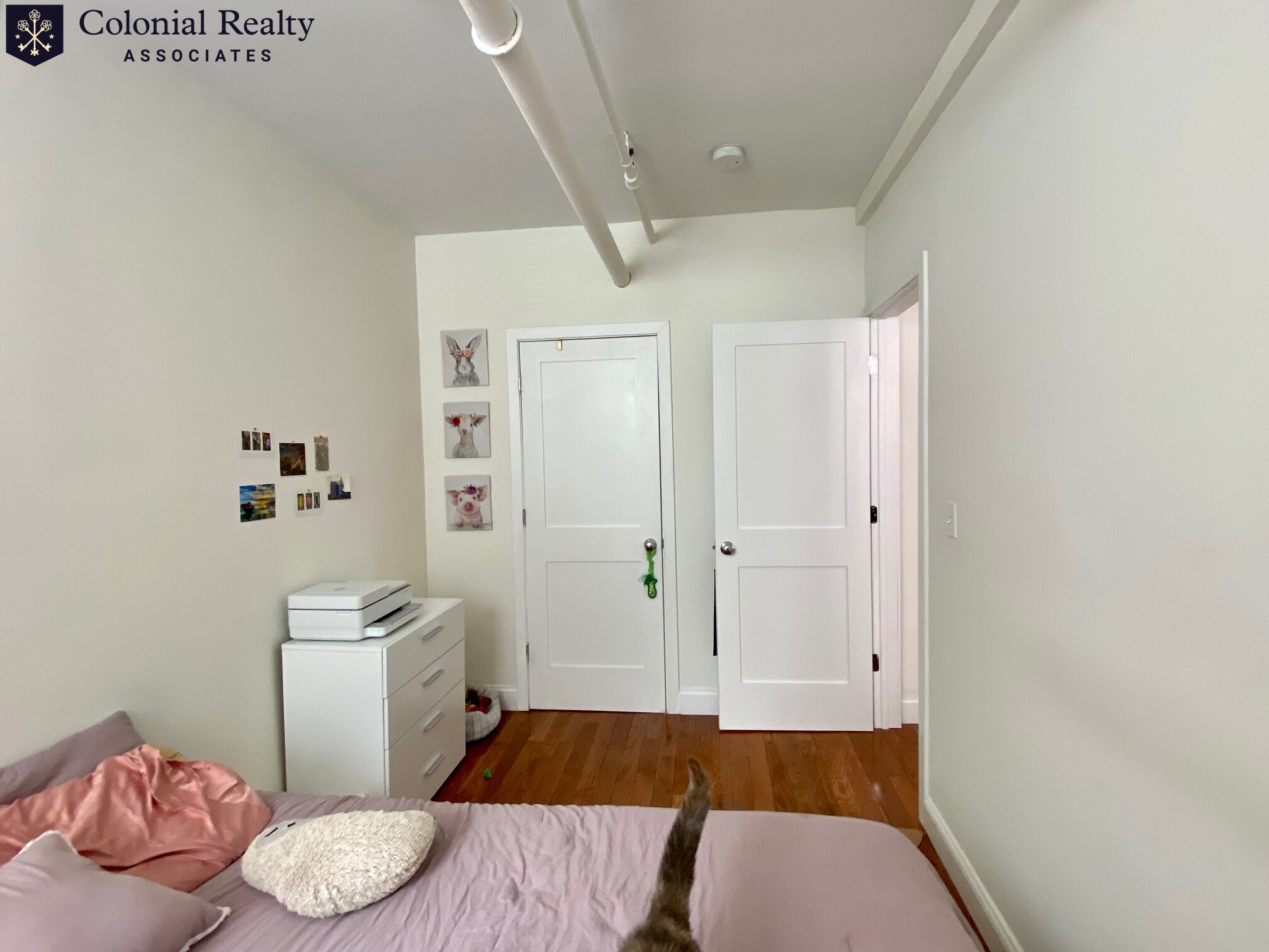 6 Orkney Rd, Brighton