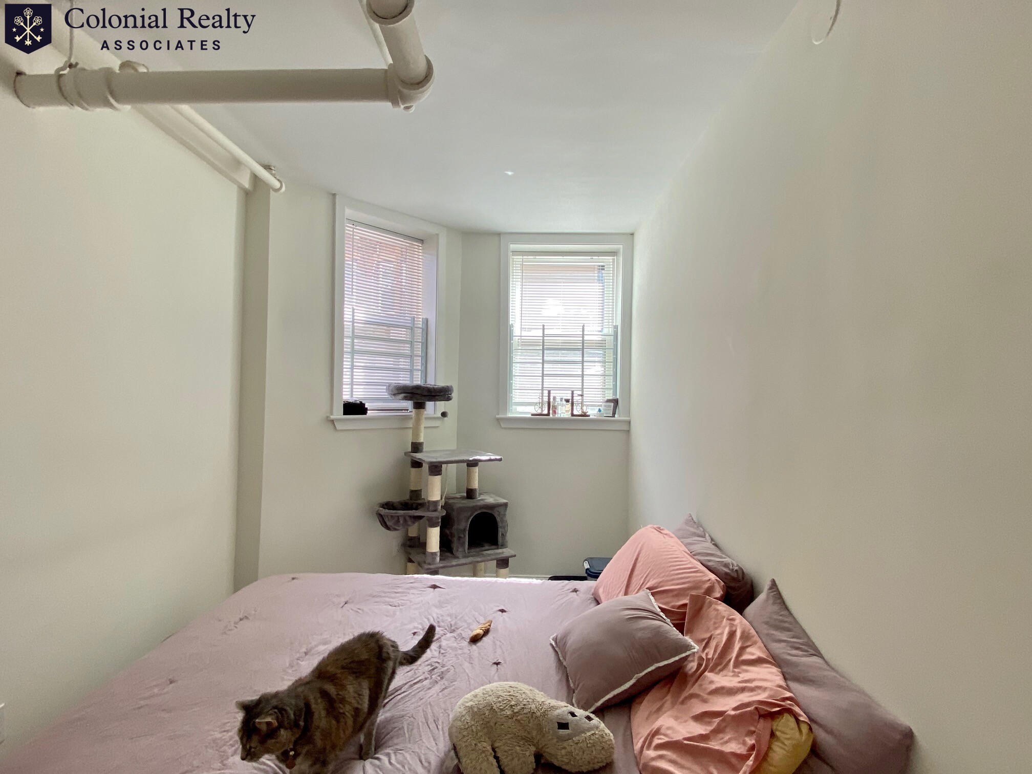 6 Orkney Rd, Brighton