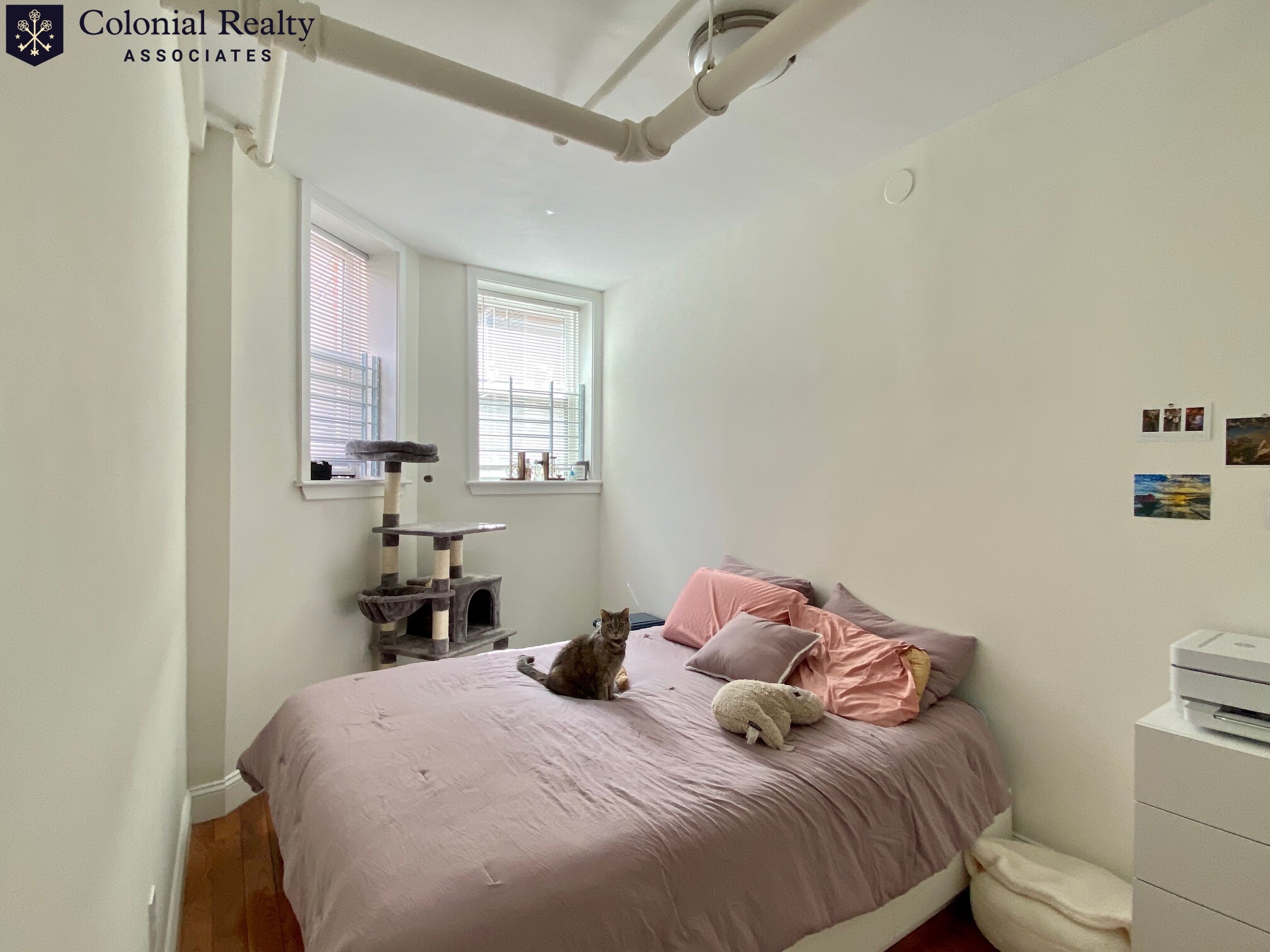 6 Orkney Rd, Brighton