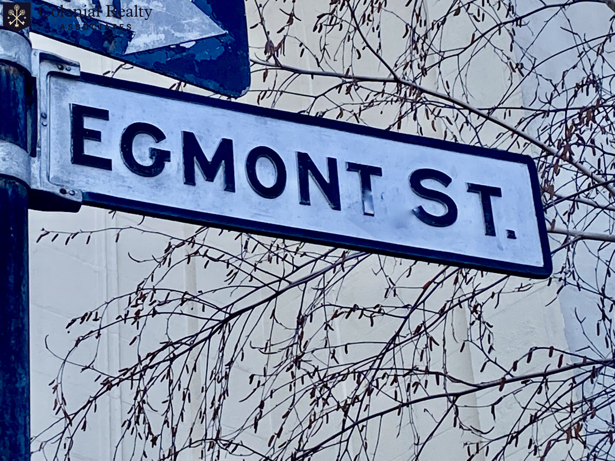 66 Egmont St, Coolidge Corner