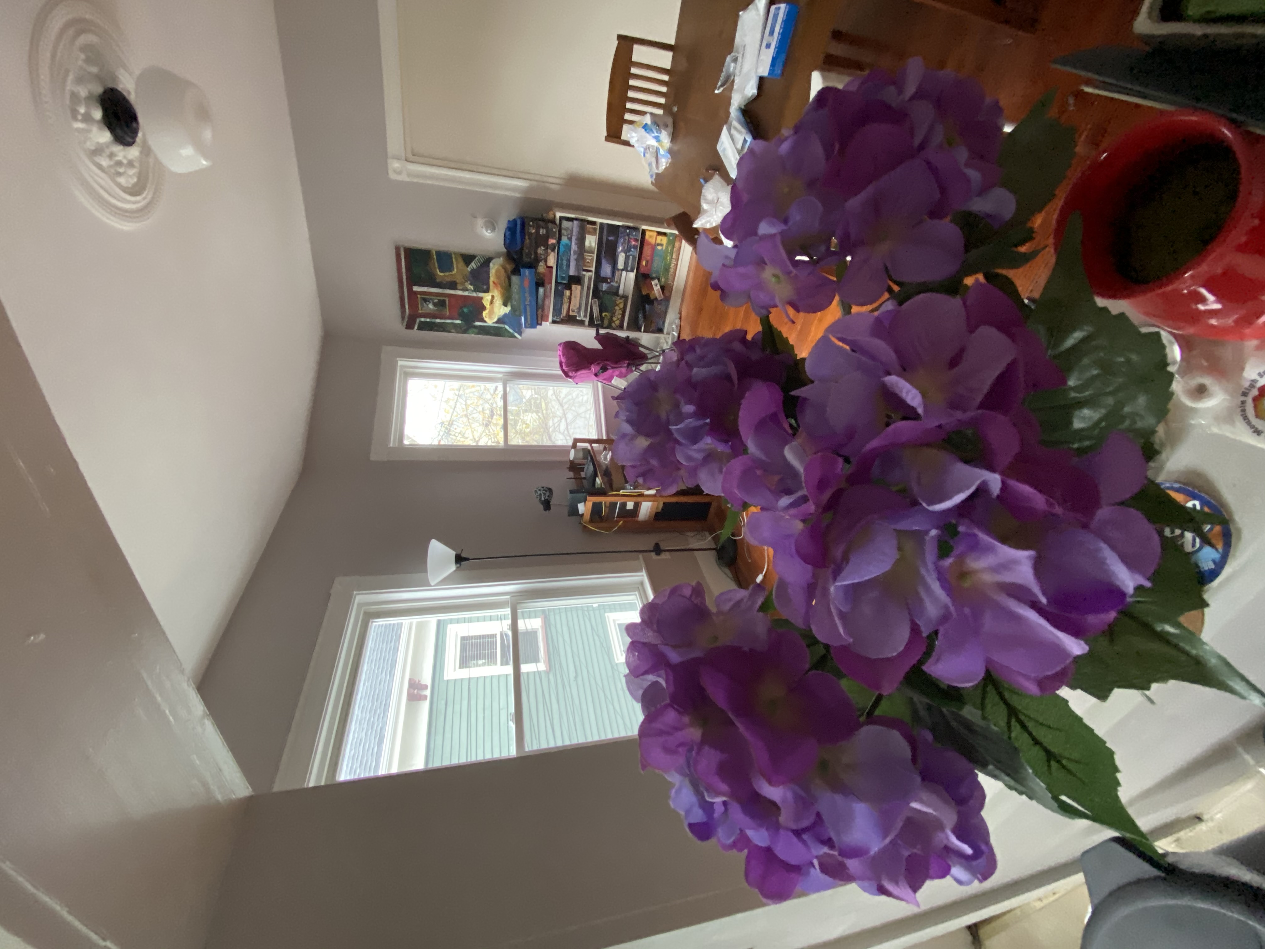 10 Cutter Ave, Davis Square