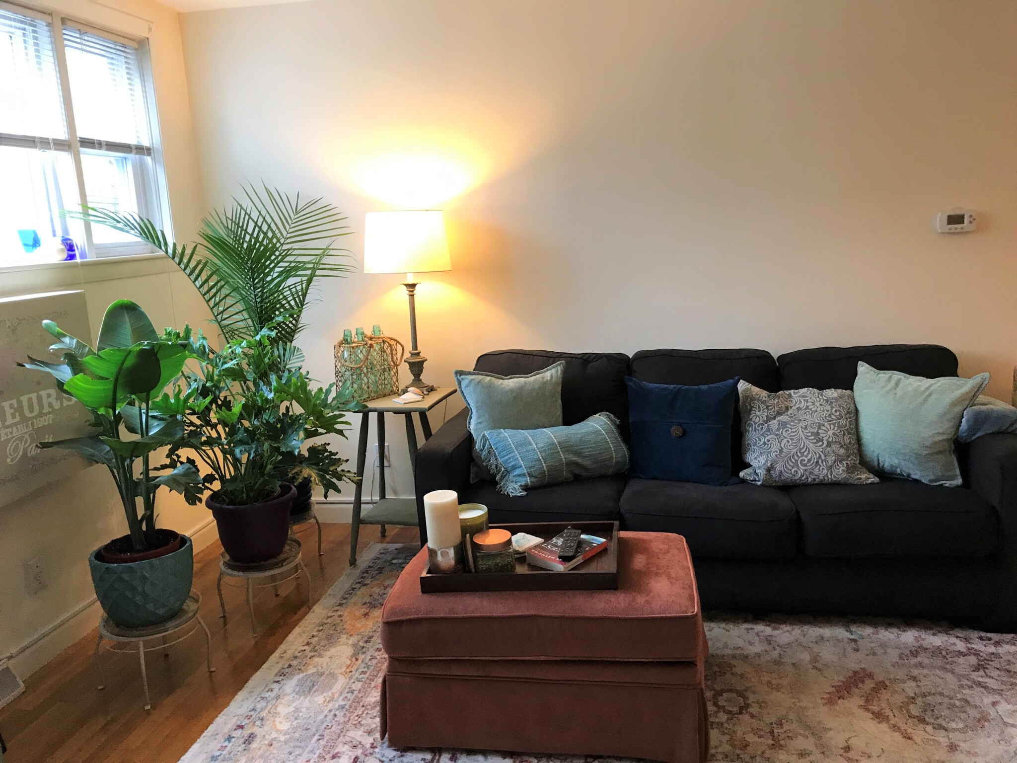 11 Ferdinand St, Melrose Highlands