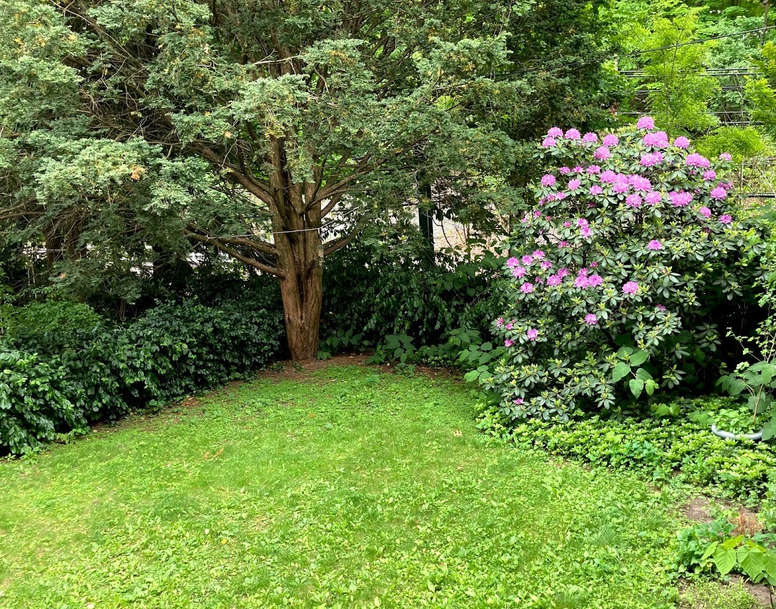 111 Sumner Rd, Brookline Hills