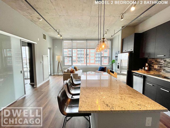 1135 South Delano Ct. East, Chicago, IL - 2,448 USD/ month