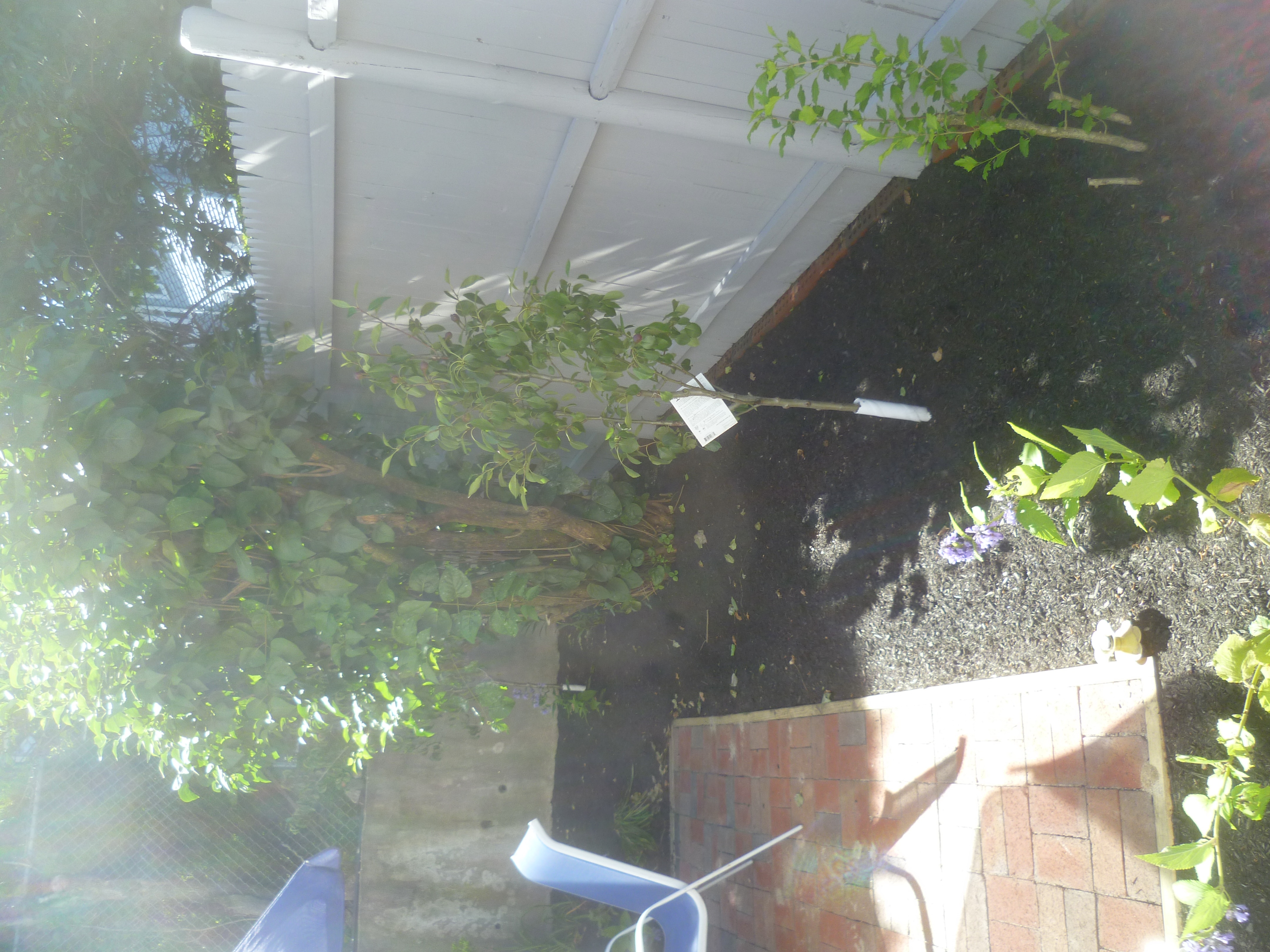 54 Hobson St, Brighton