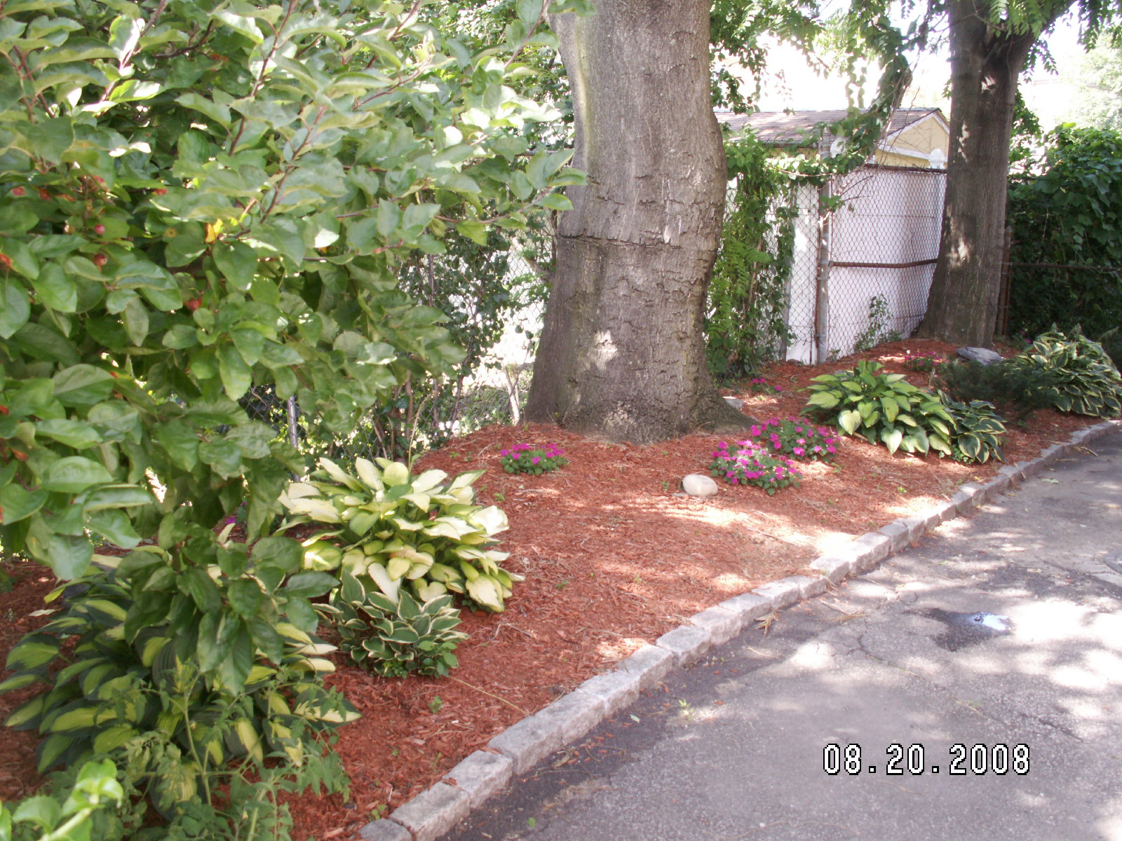 3 bed, 1.5 bath apartment for rent at 168 Windsor St Unit 1, Central Square — photo 33 of 33
