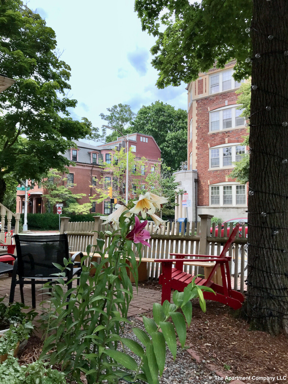 354 Harvard St, Mid Cambridge