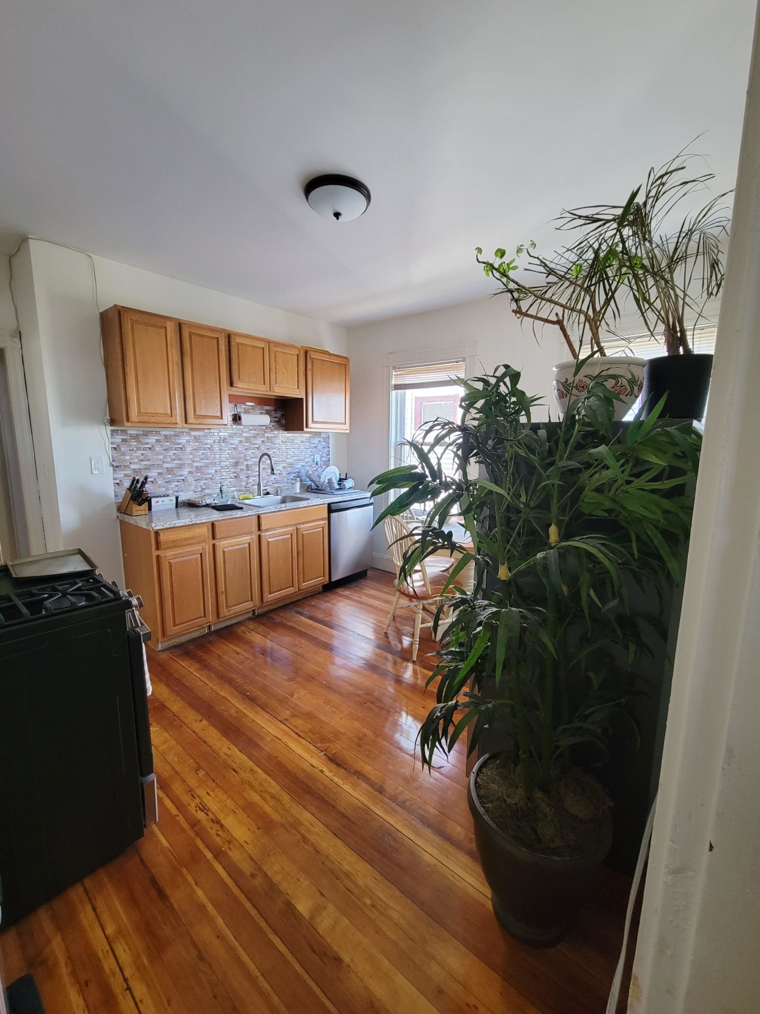 Concept Properties