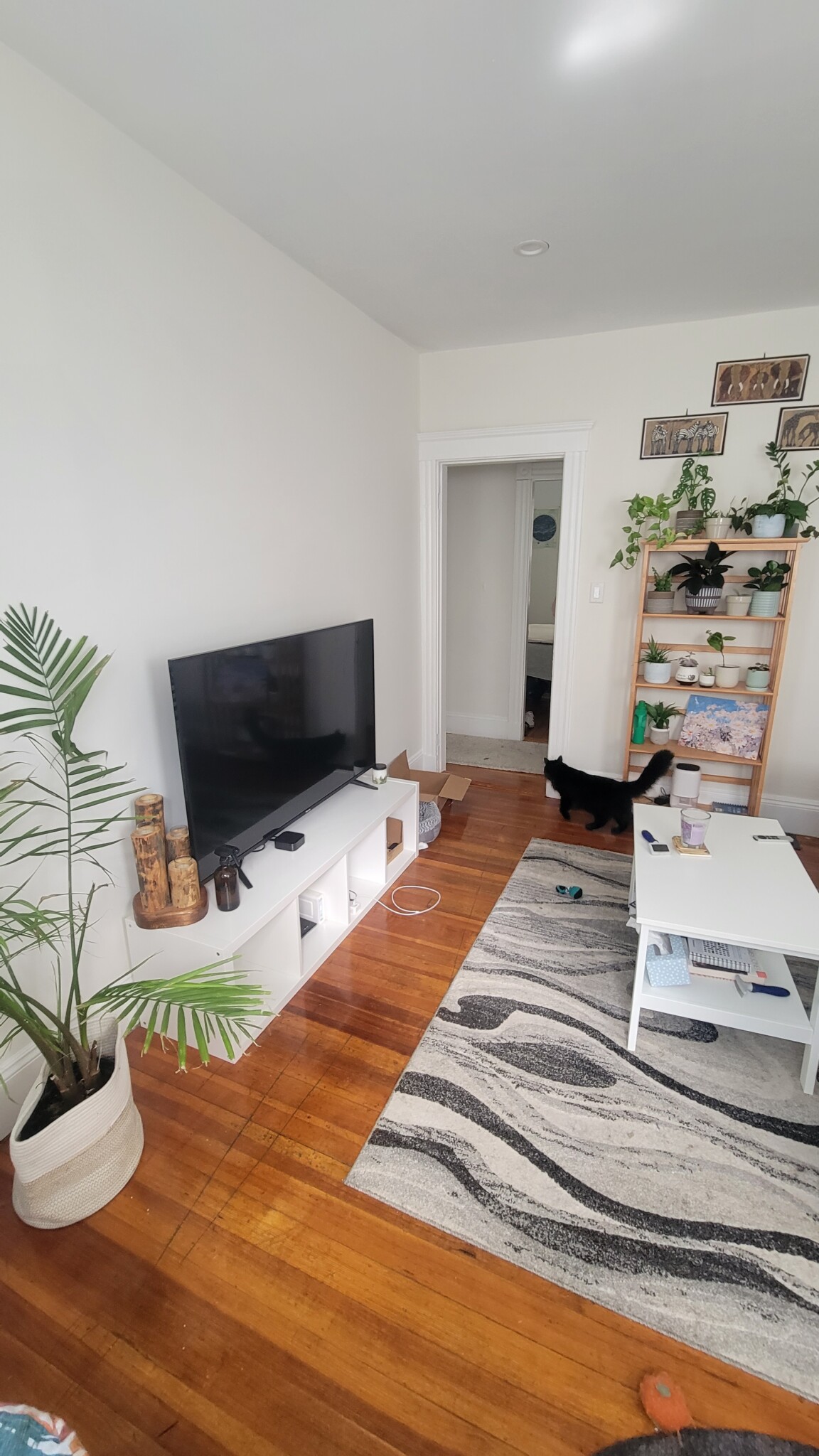 Photos of apartment on Juliette,Boston MA 02122