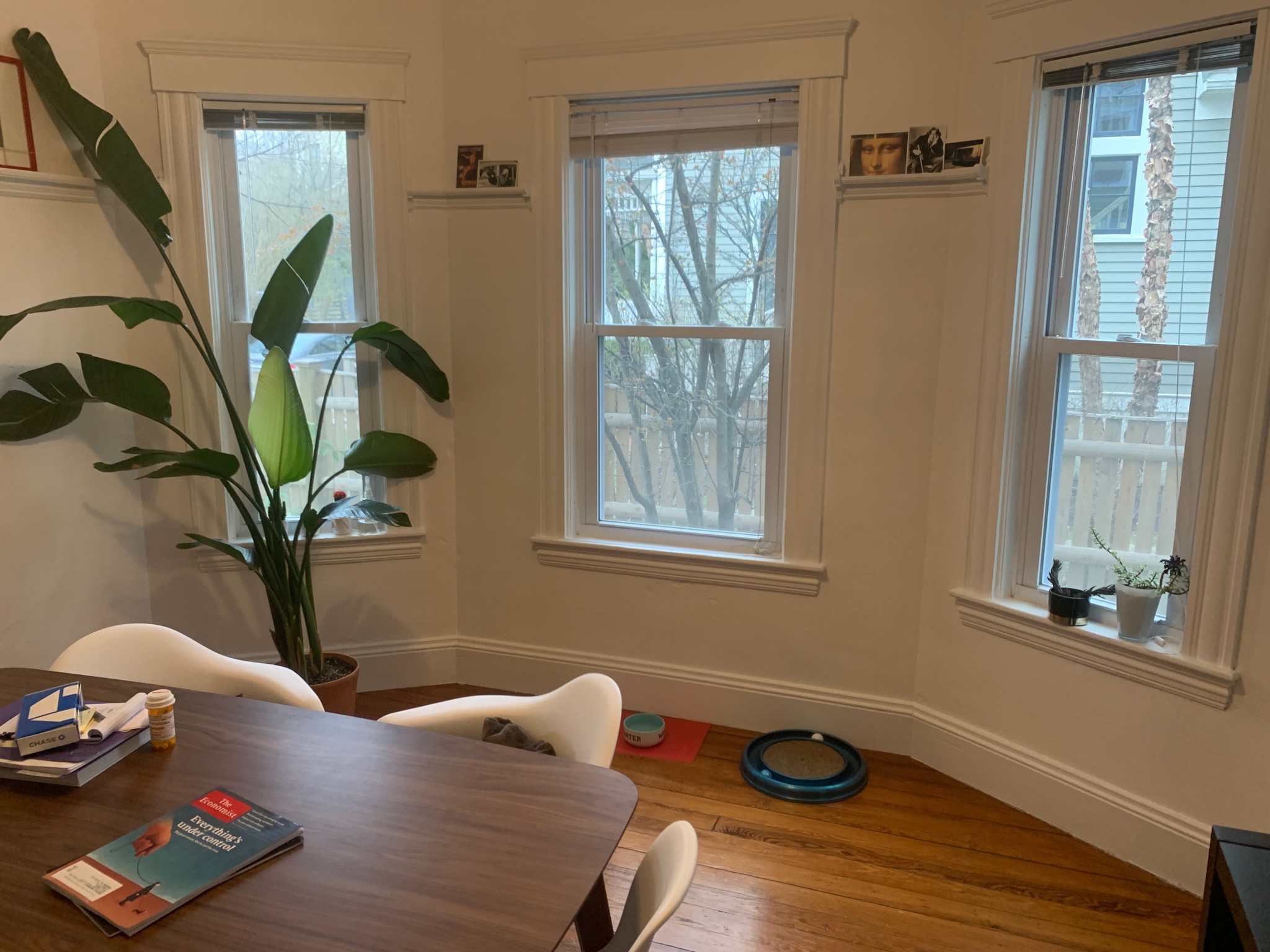 2 bed, 1 bath apartment for rent at 17-19 Orrin St Unit 1, Cambridge — photo 10 of 10